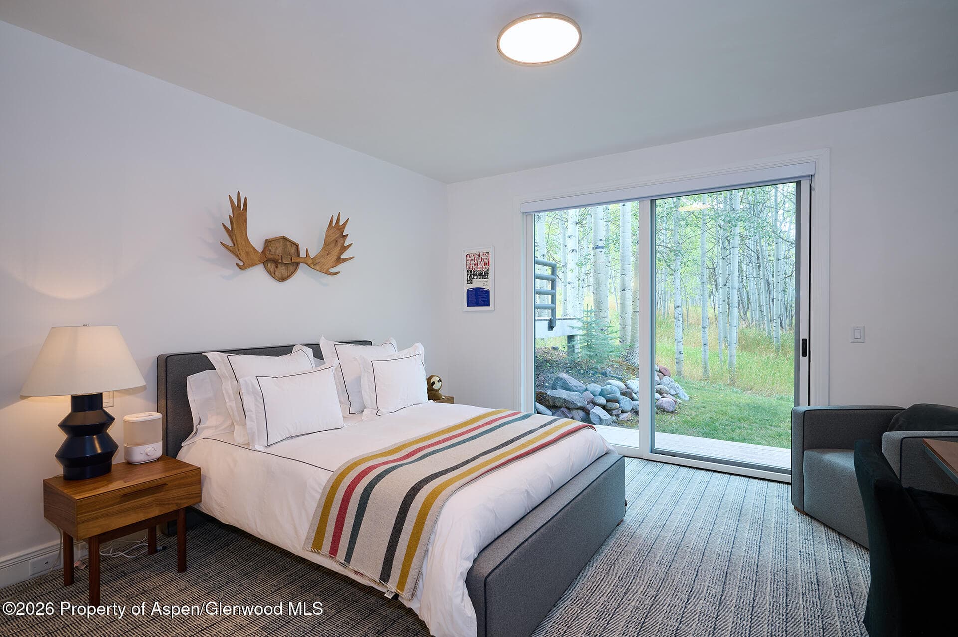 405 Glen Eagles Road, Aspen, CO 81611 - Photo 21
