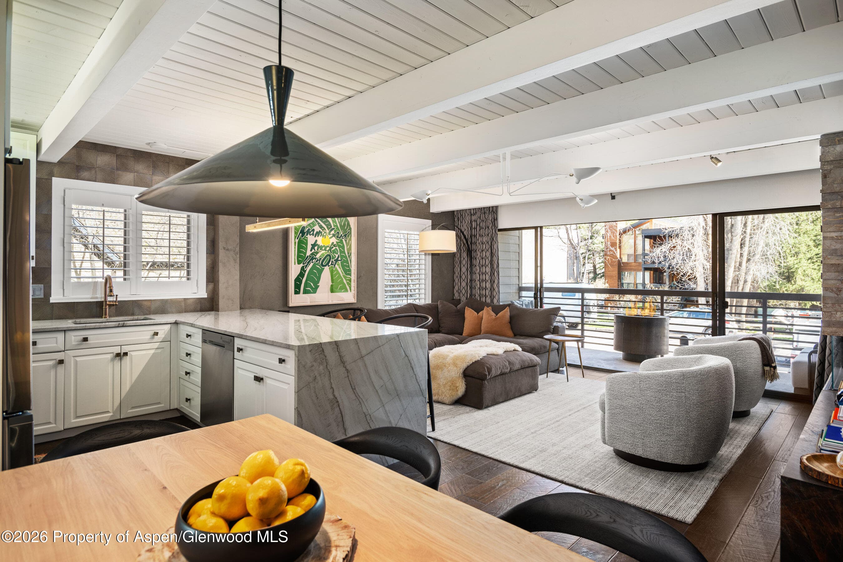 825 E Hopkins Avenue 2n, Aspen, CO 81611