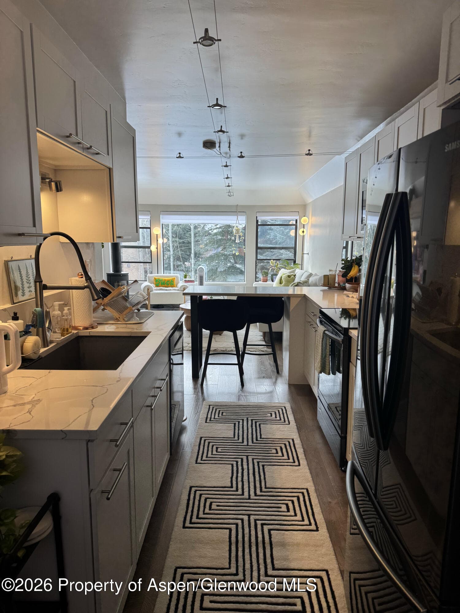 942 Vine Street, Aspen, CO 81611 - Photo 8