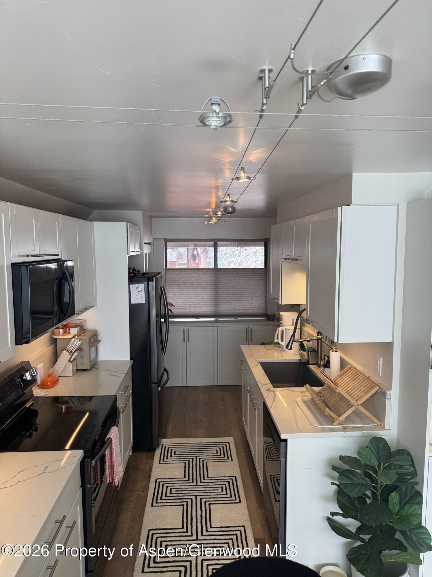 942 Vine Street, Aspen, CO 81611 - Photo 6