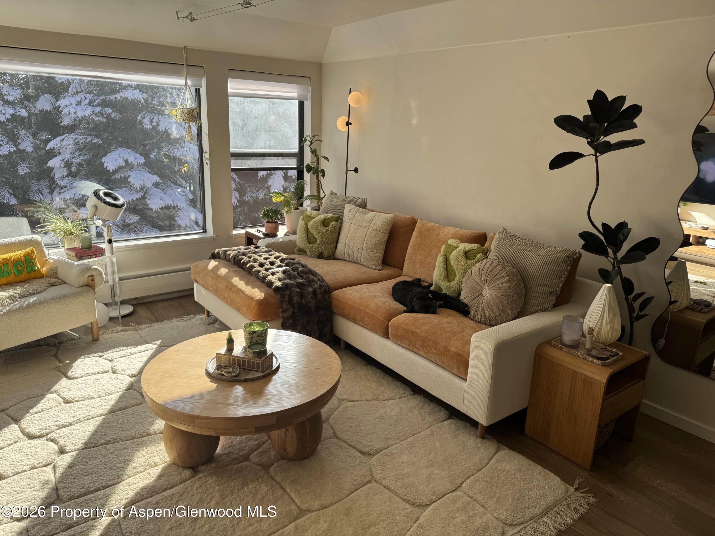 942 Vine Street, Aspen, CO 81611 - Photo 3
