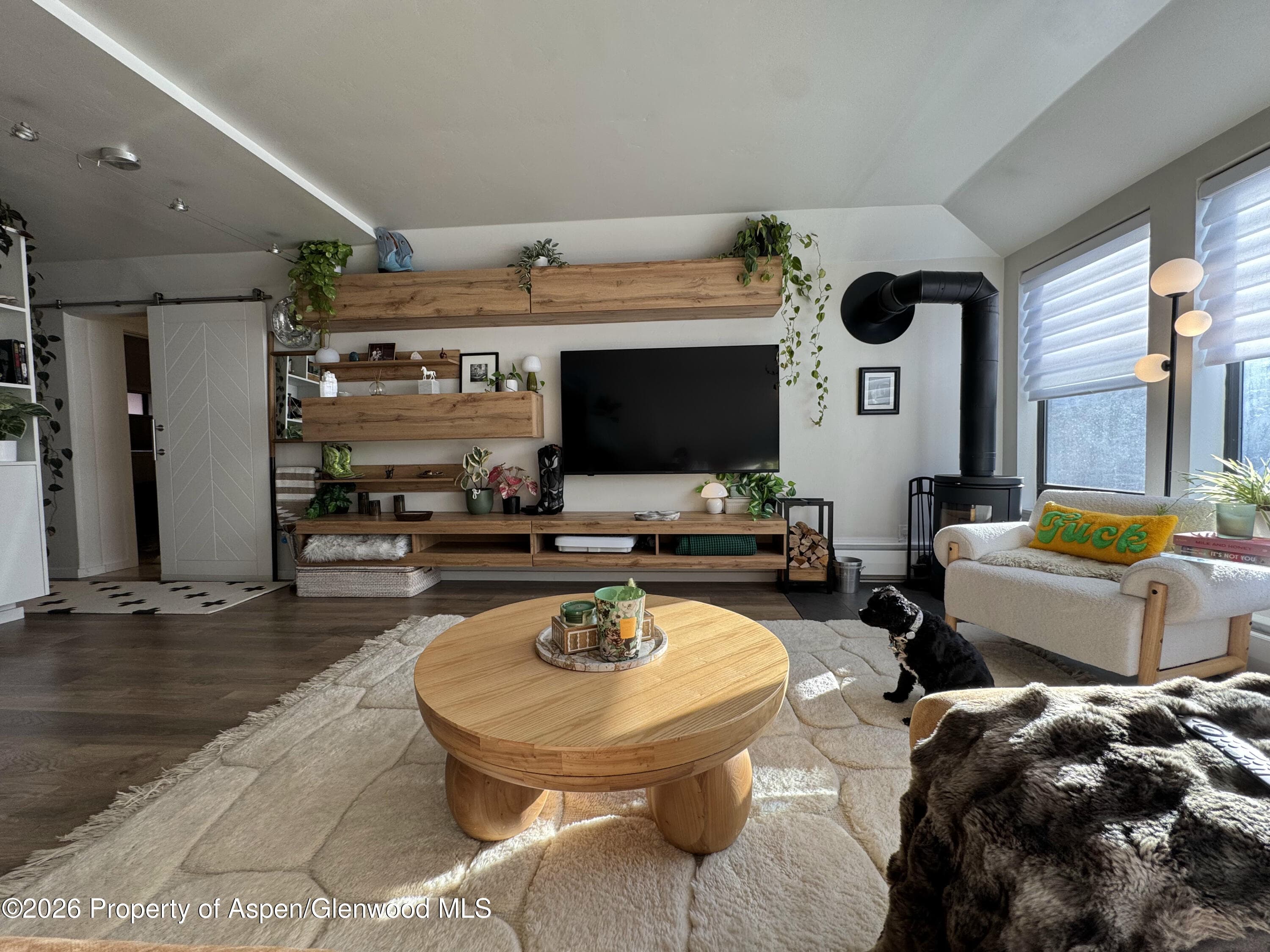 942 Vine Street, Aspen, CO 81611 - Photo 2
