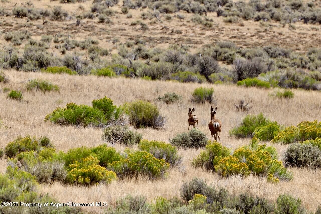 3986 County Road 103, Craig, CO 81625 - Photo 2