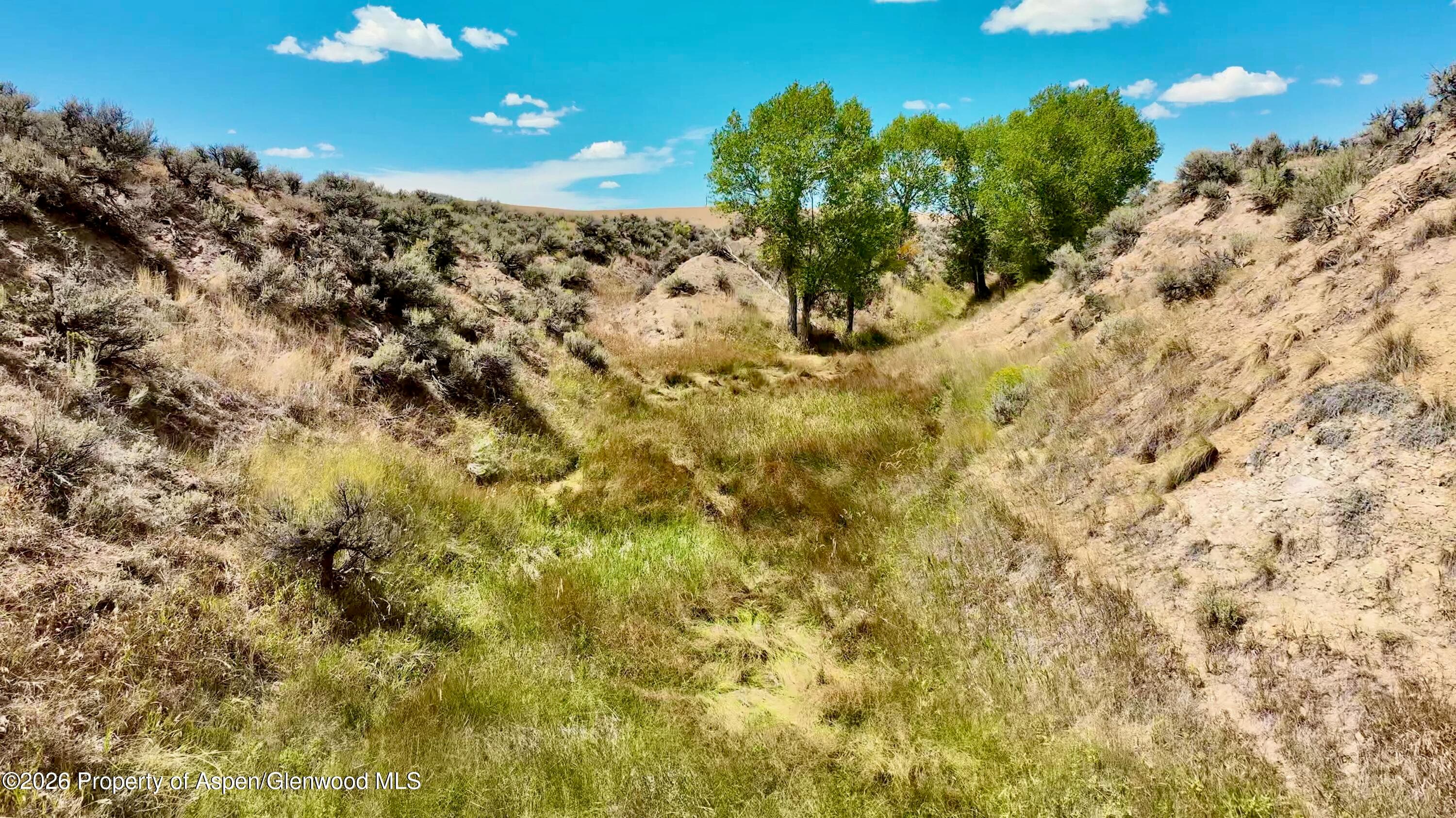 3986 County Road 103, Craig, CO 81625 - Photo 6