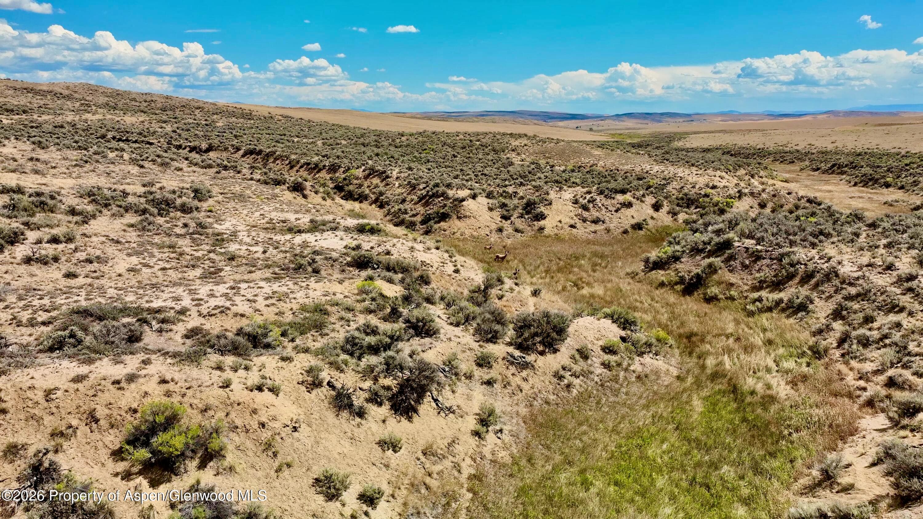3986 County Road 103, Craig, CO 81625 - Photo 7