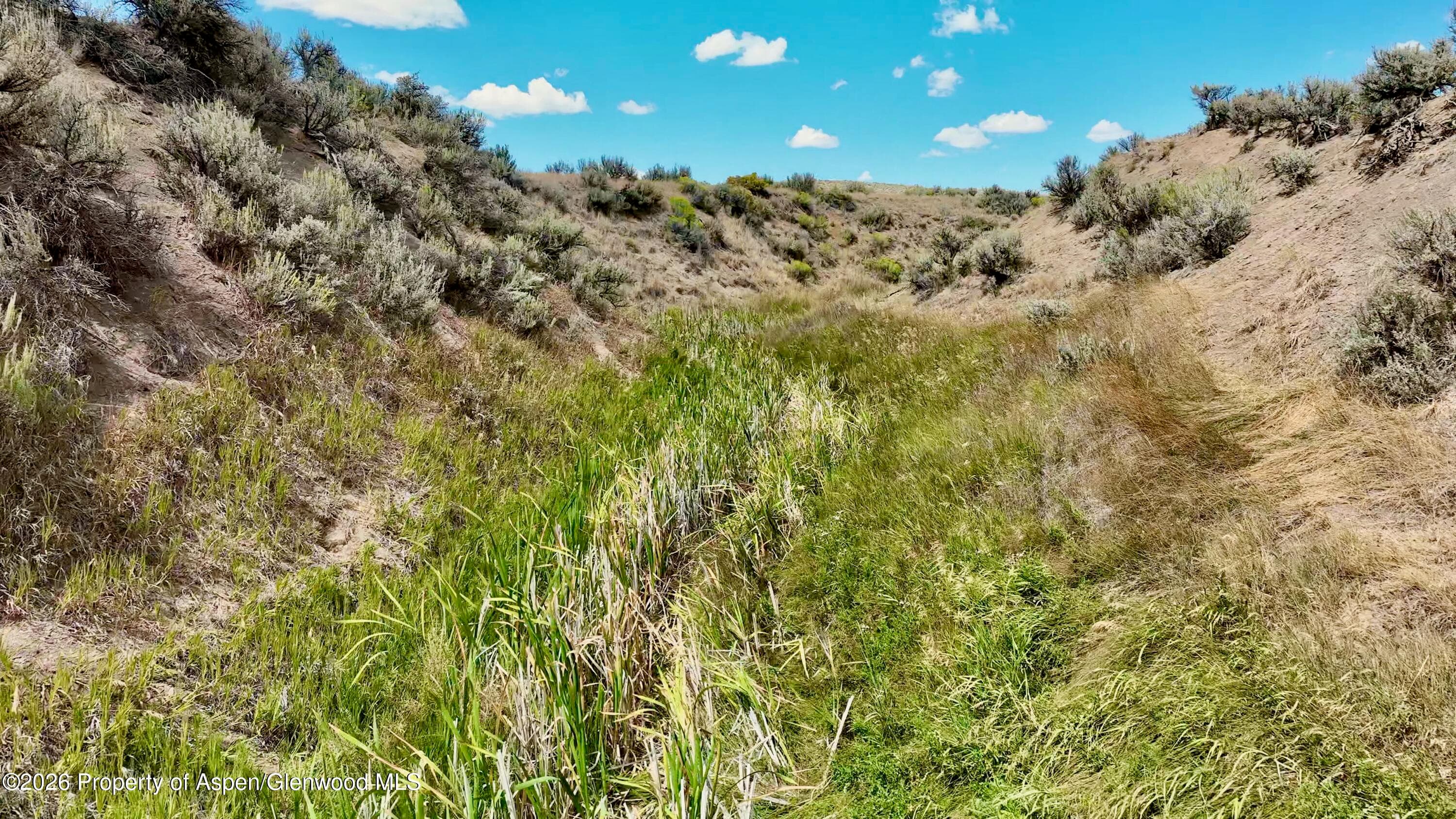 3986 County Road 103, Craig, CO 81625 - Photo 8