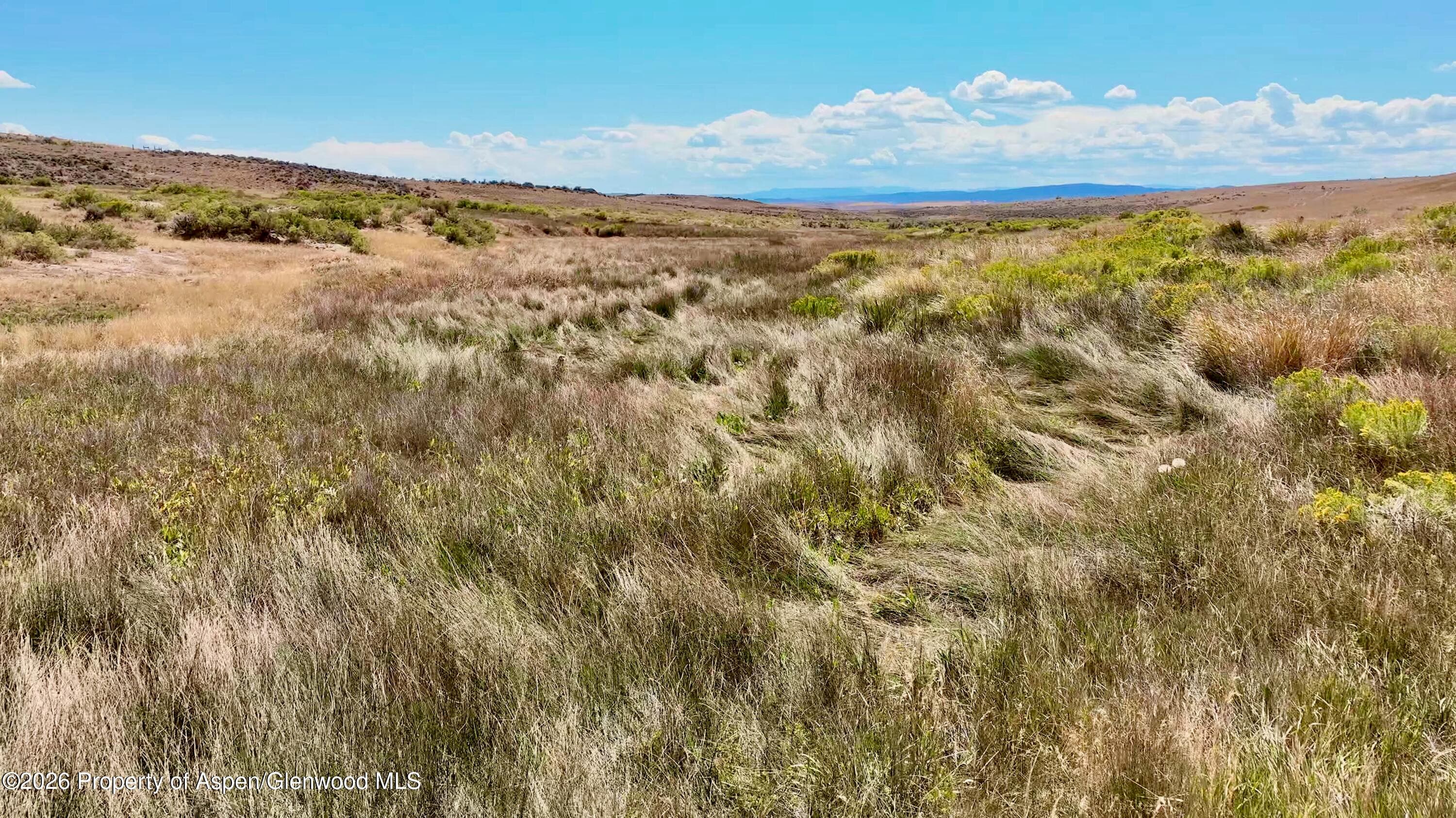 3986 County Road 103, Craig, CO 81625 - Photo 9