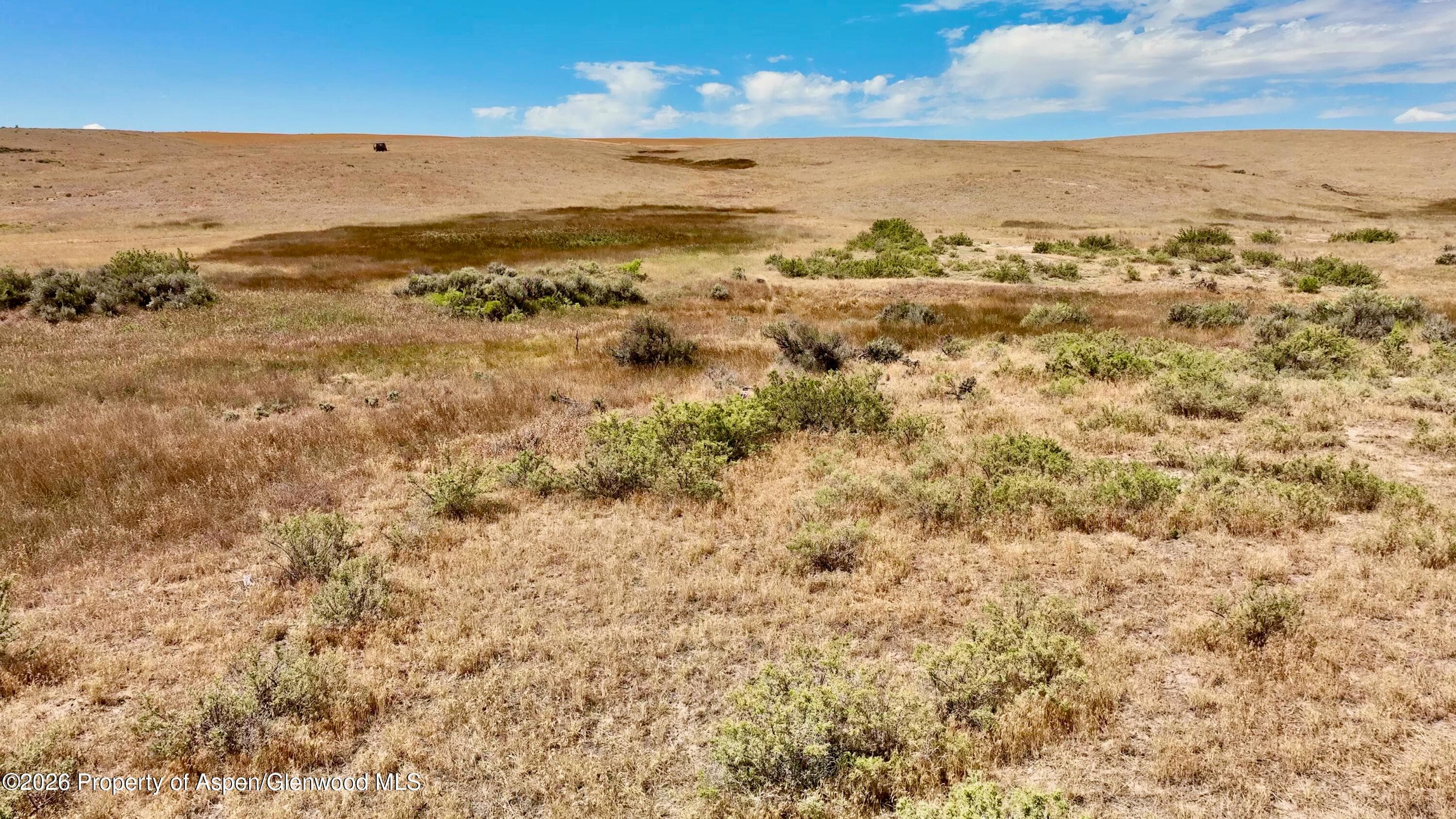3986 County Road 103, Craig, CO 81625 - Photo 10