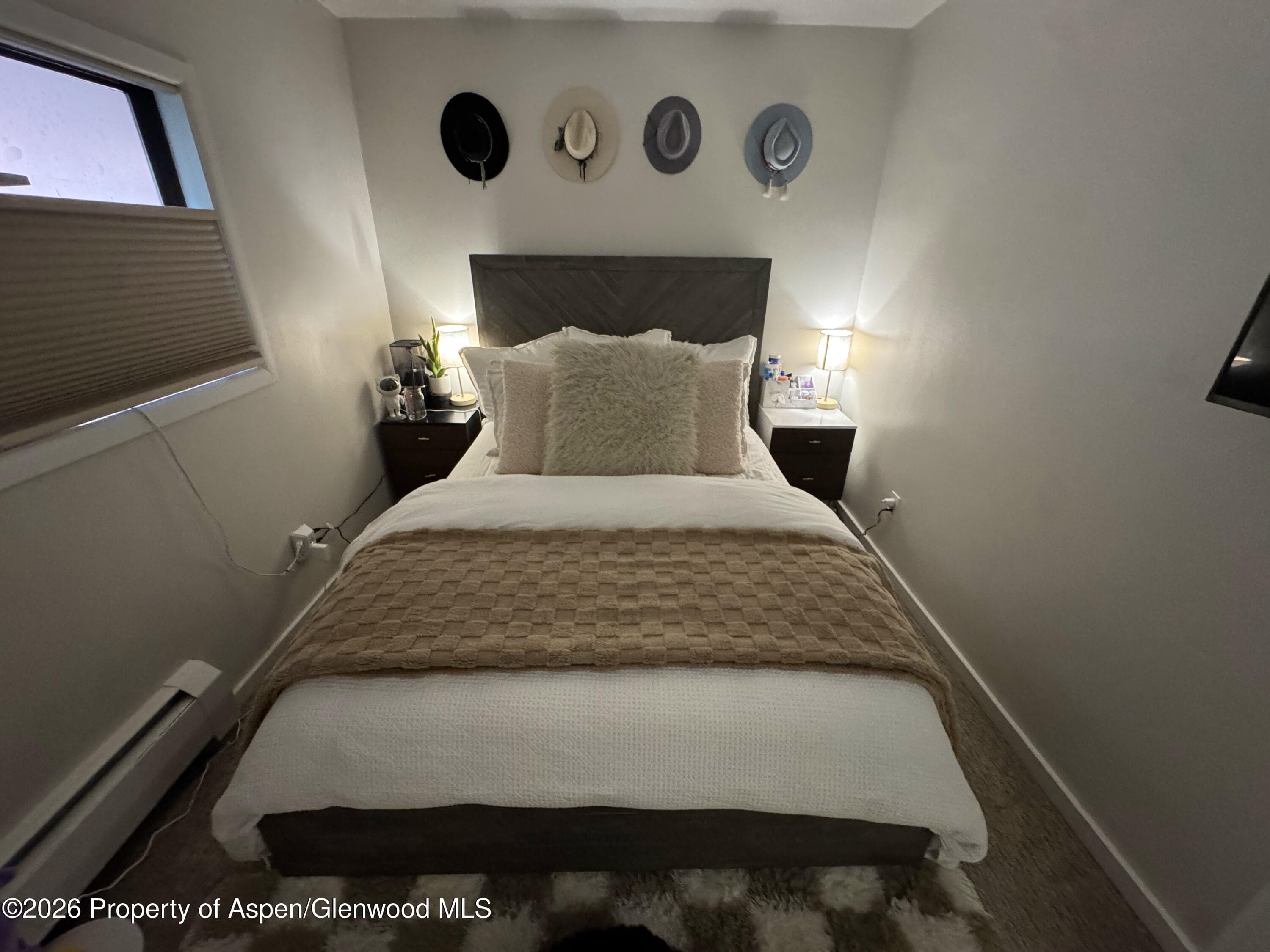 942 Vine Street, Aspen, CO 81611 - Photo 11