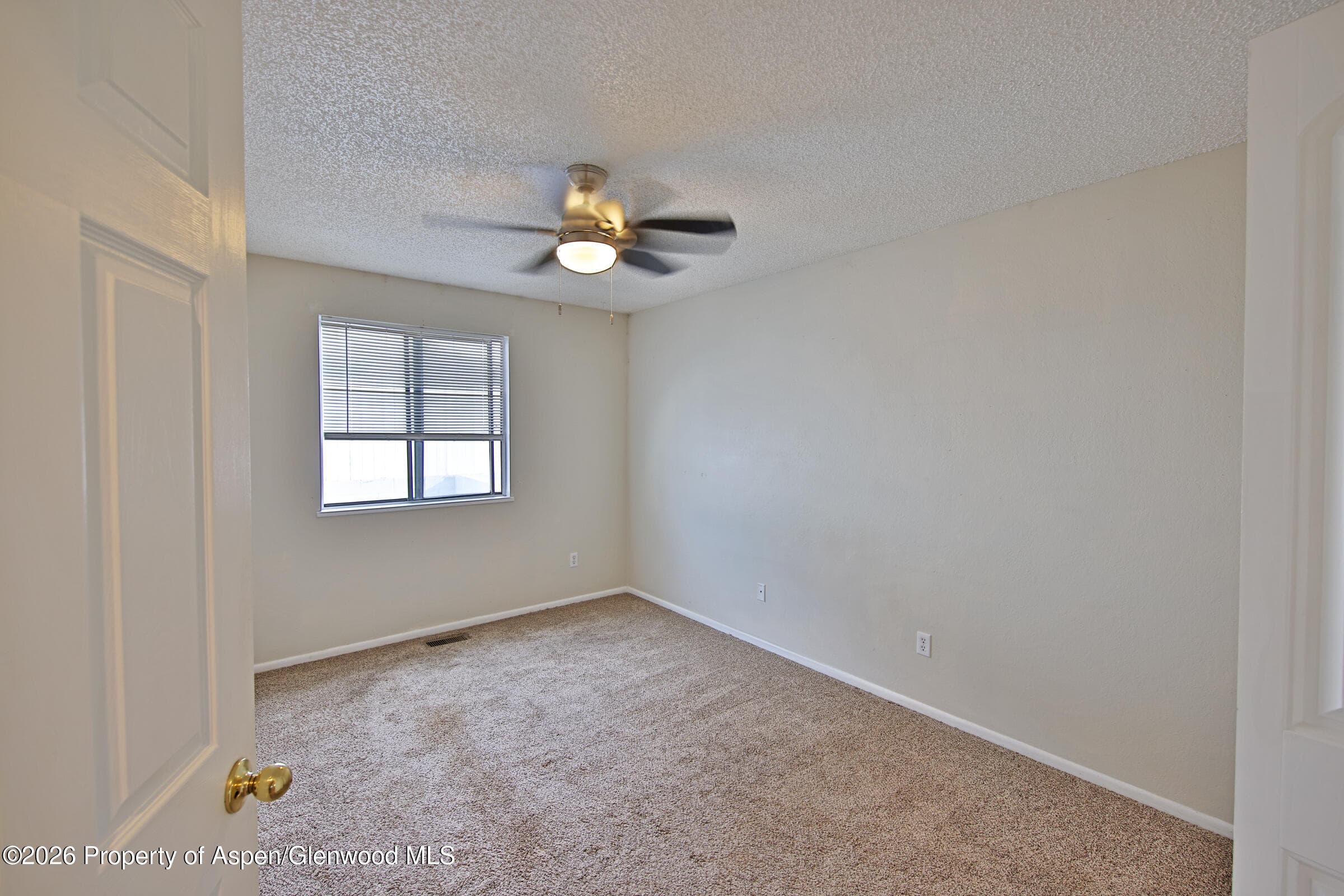 930 Iowa Avenue 5, Palisade, CO 81526 - Photo 10