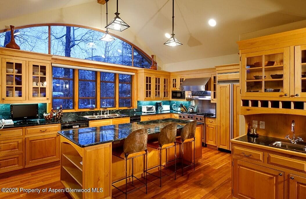 835 E Cooper Avenue 4, Aspen, CO 81611 - Photo 2