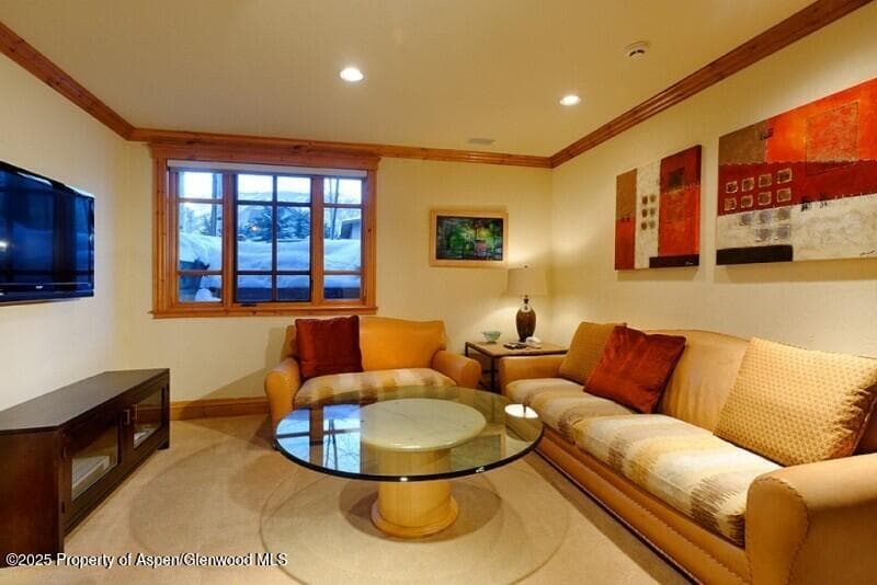835 E Cooper Avenue 4, Aspen, CO 81611 - Photo 10