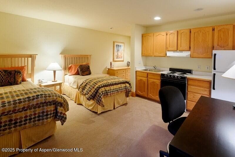 835 E Cooper Avenue 4, Aspen, CO 81611 - Photo 11