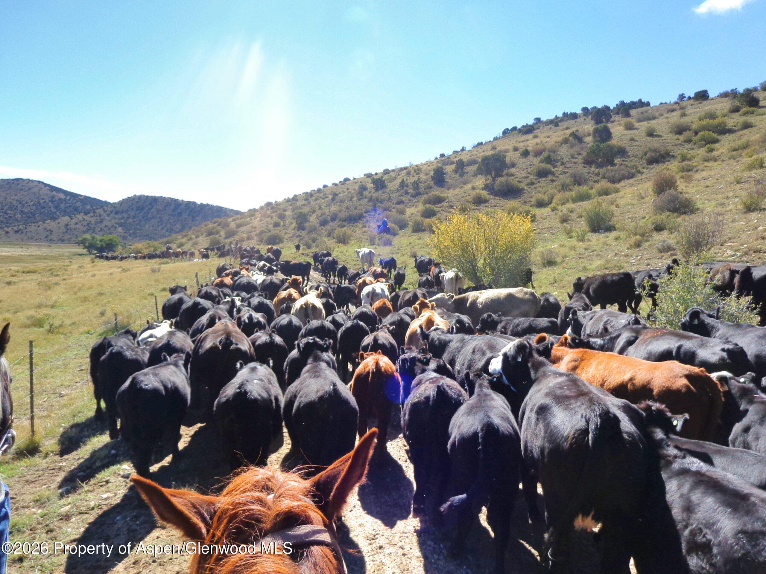 56495 Highway 318, Maybell, CO 81640 - Photo 2