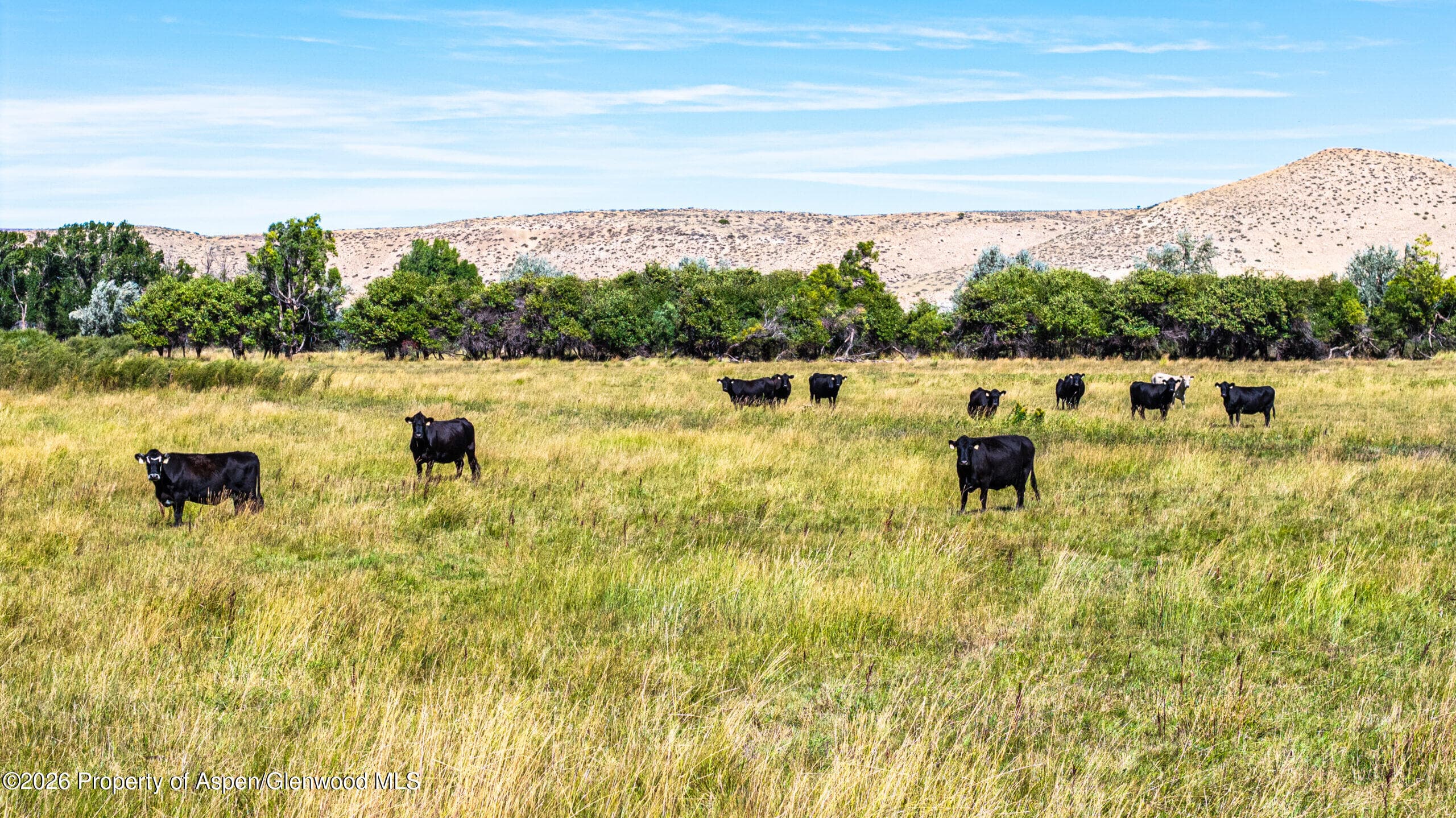 56495 Highway 318, Maybell, CO 81640 - Photo 12