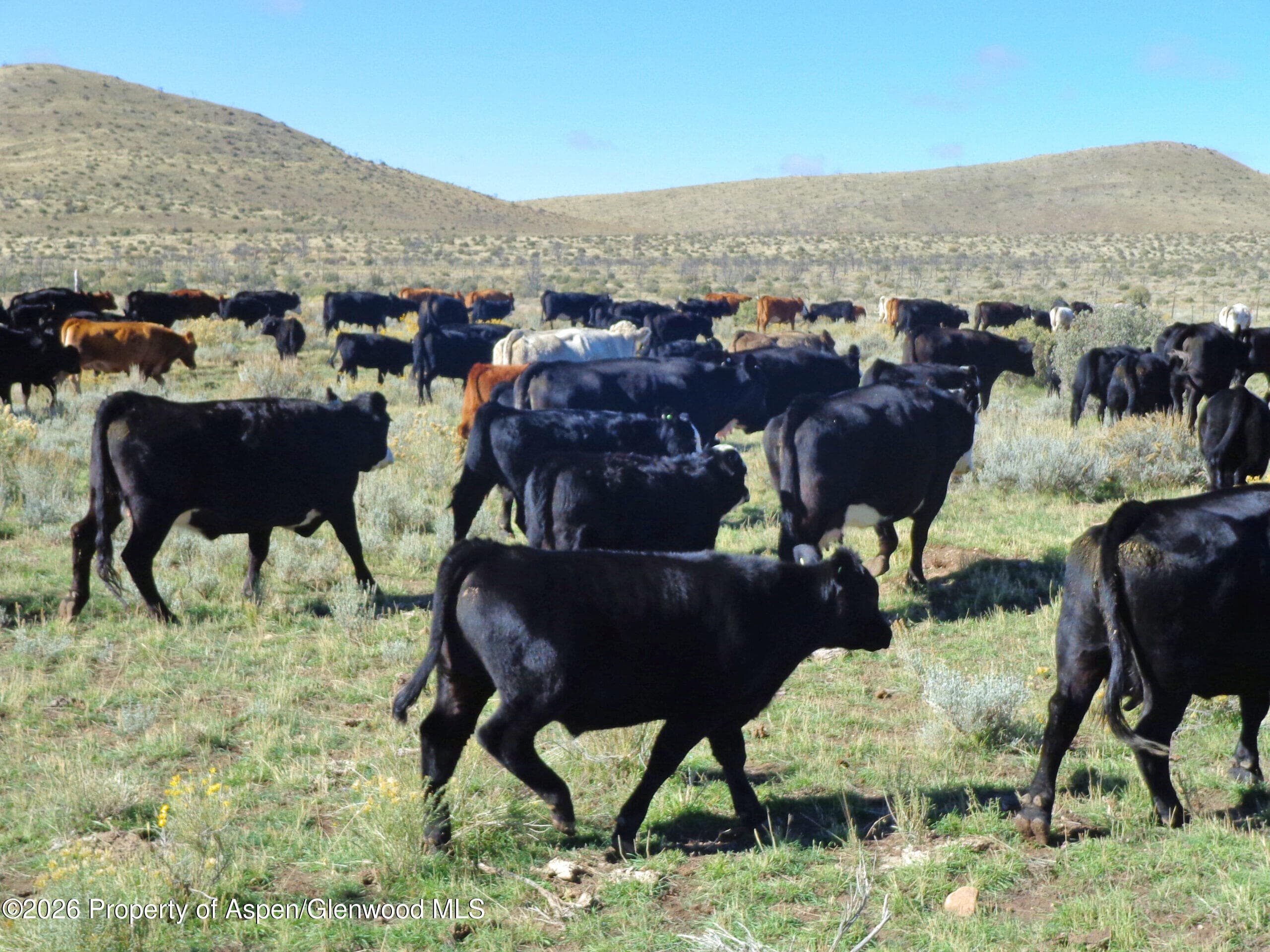 56495 Highway 318, Maybell, CO 81640 - Photo 14