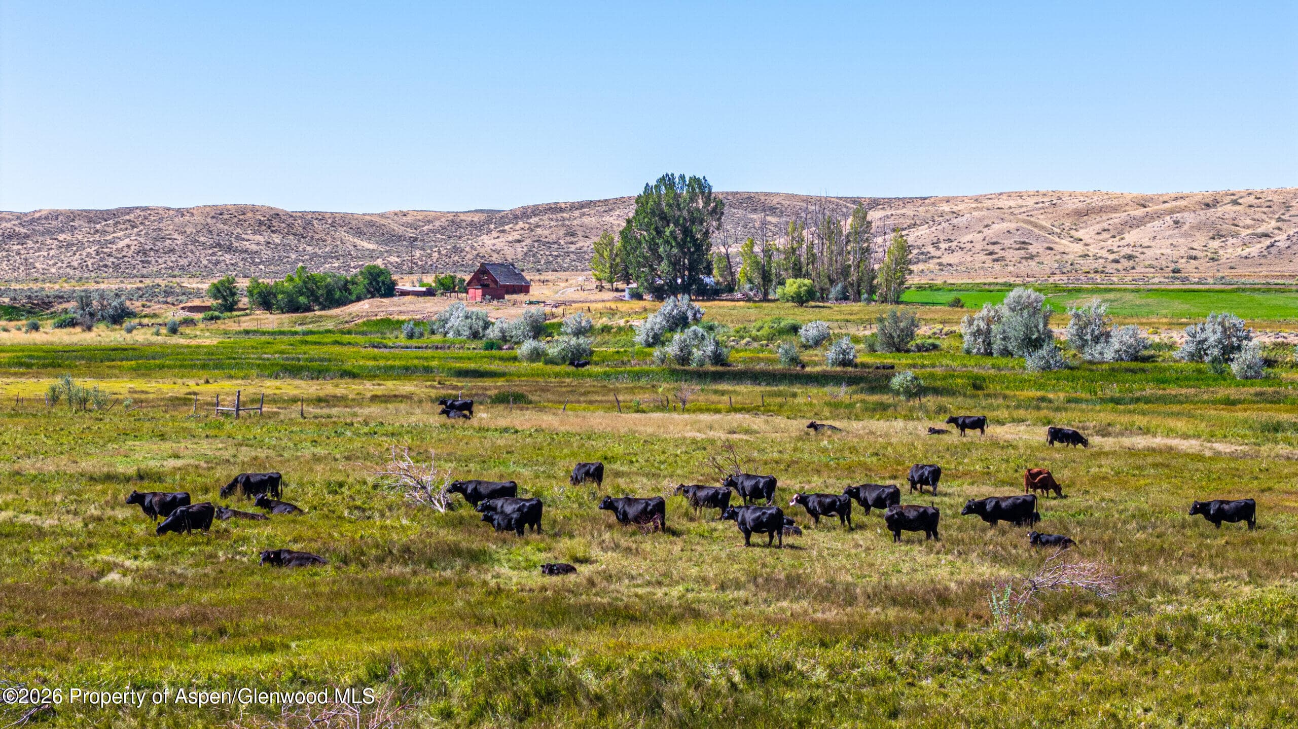 56495 Highway 318, Maybell, CO 81640 - Photo 24