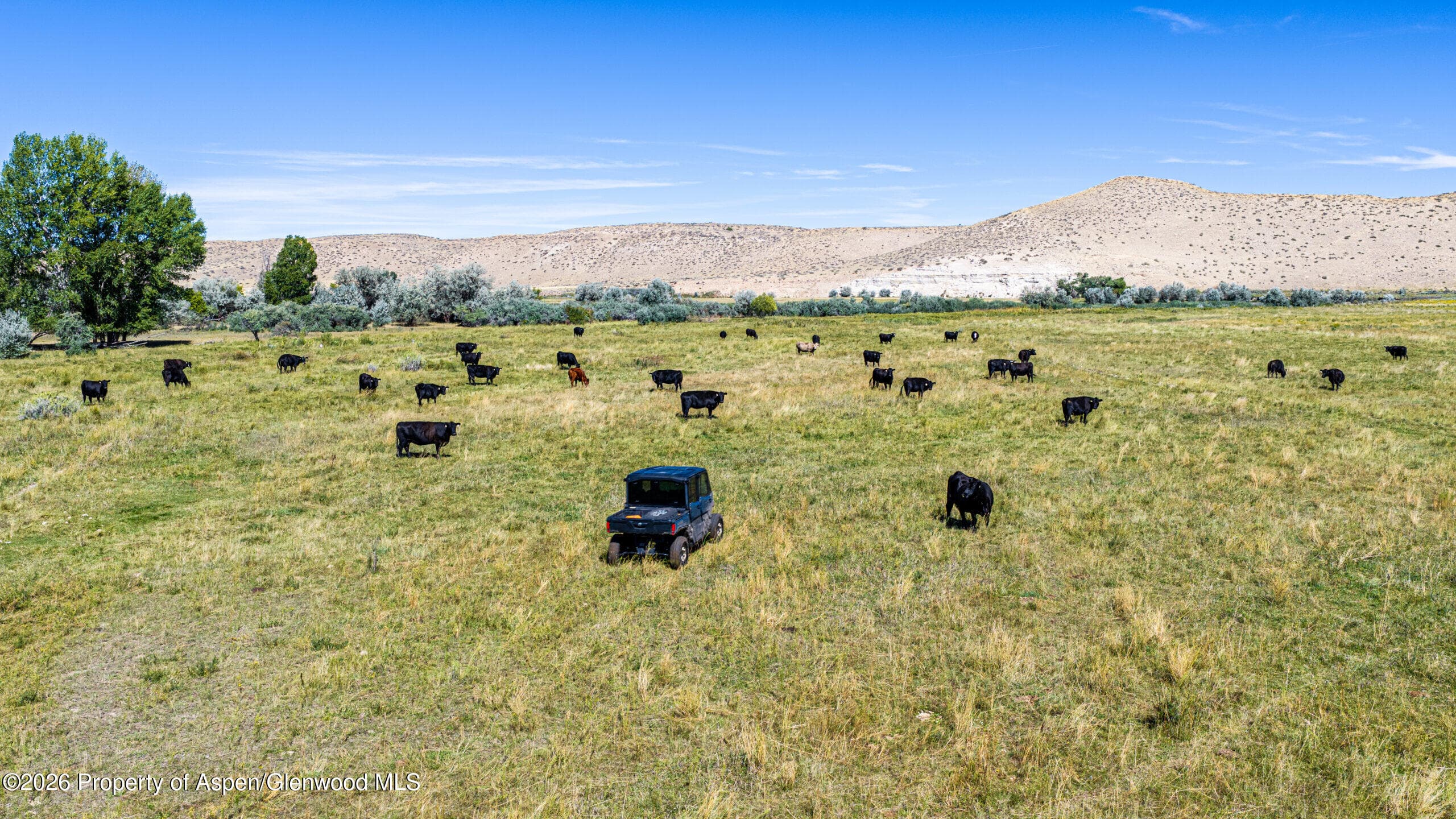 56495 Highway 318, Maybell, CO 81640 - Photo 26