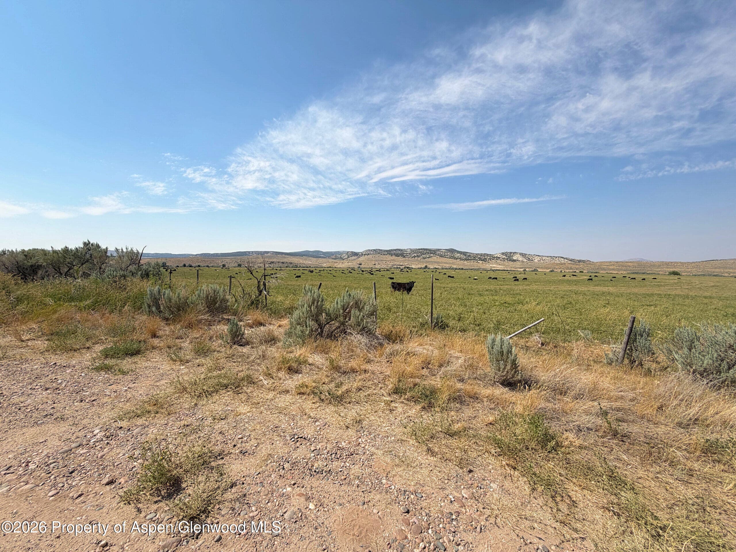 56495 Highway 318, Maybell, CO 81640 - Photo 32