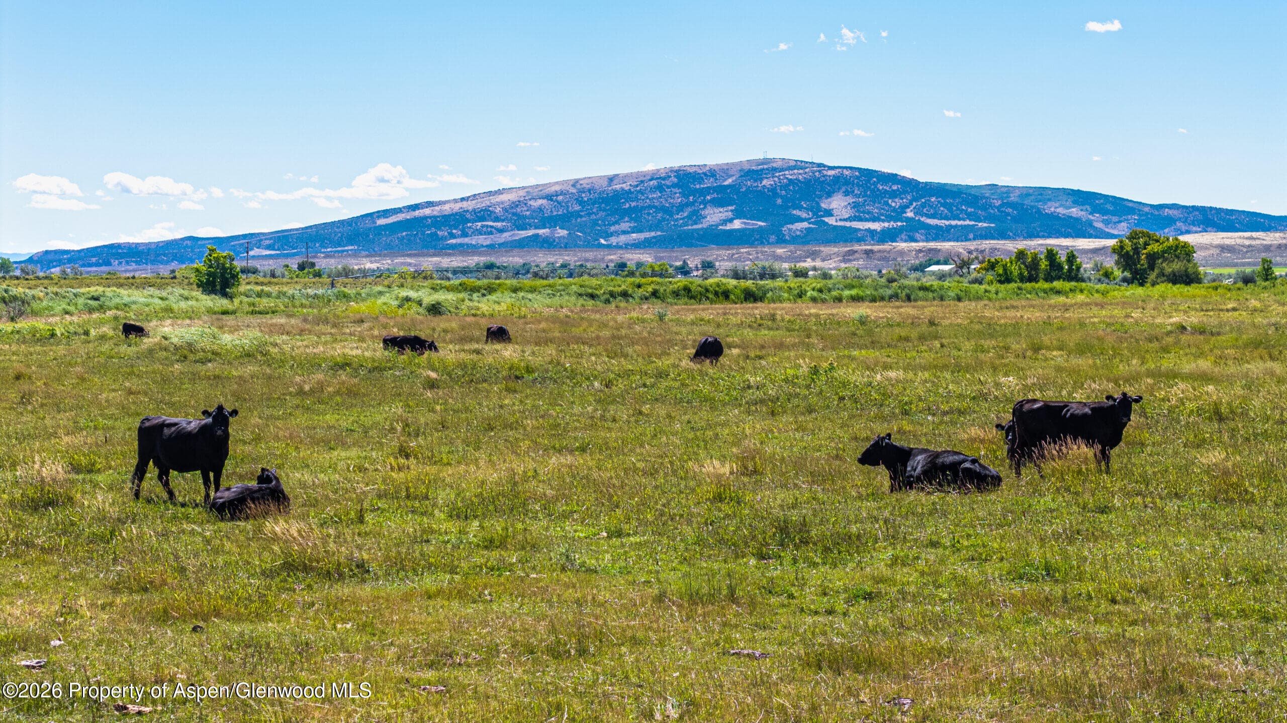 56495 Highway 318, Maybell, CO 81640 - Photo 38