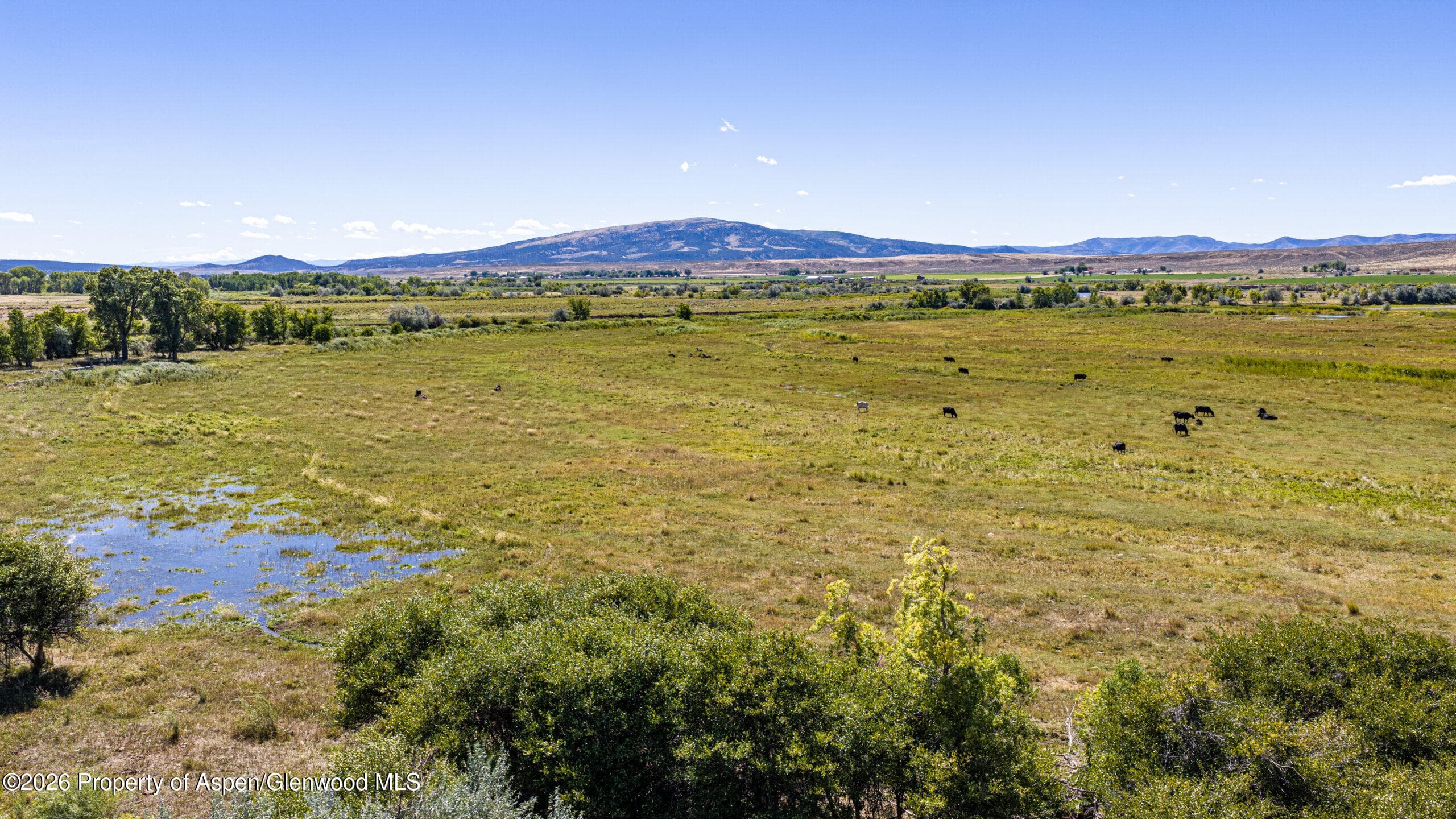56495 Highway 318, Maybell, CO 81640 - Photo 58