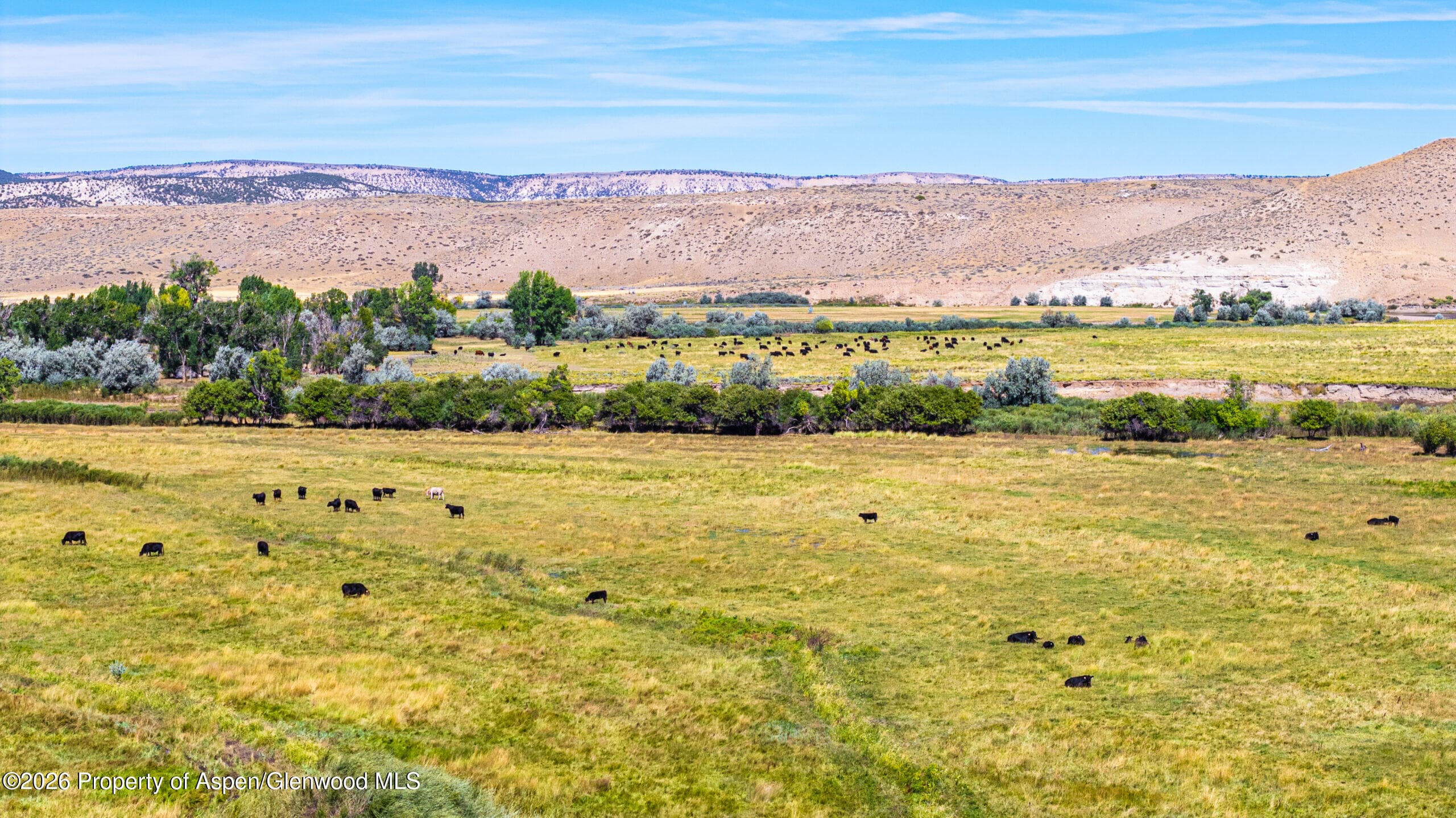 56495 Highway 318, Maybell, CO 81640 - Photo 59