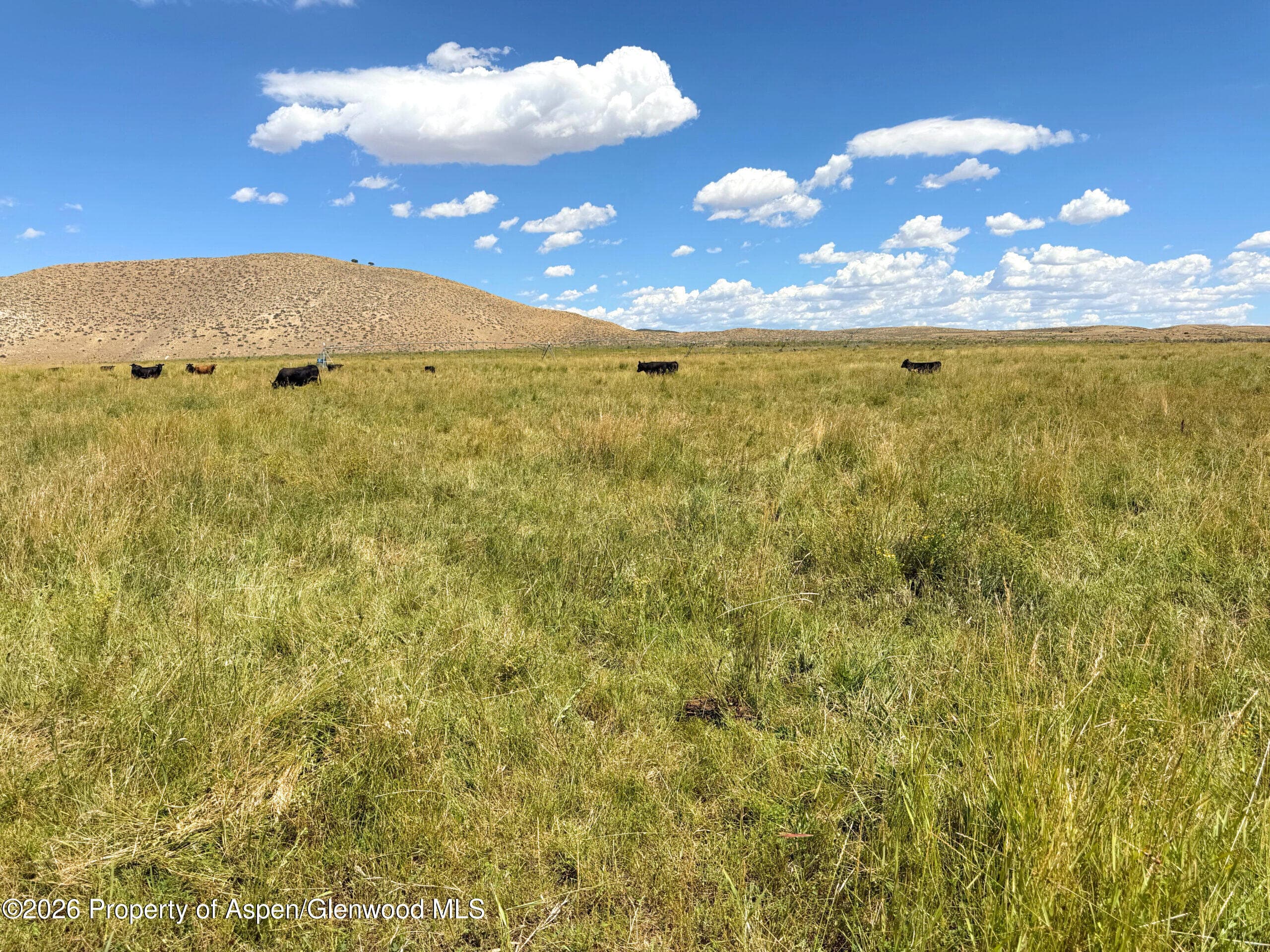 56495 Highway 318, Maybell, CO 81640 - Photo 60