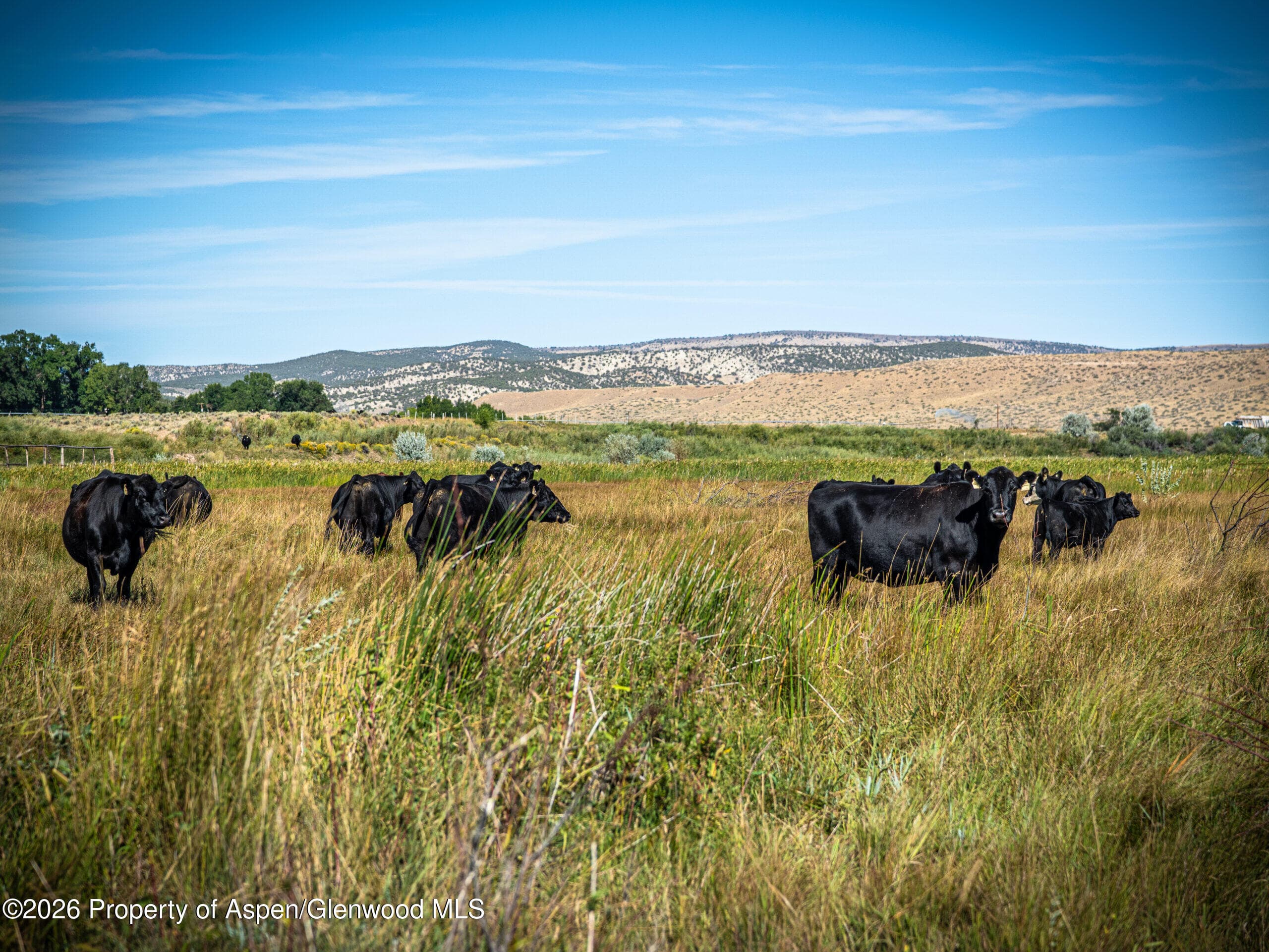 56495 Highway 318, Maybell, CO 81640 - Photo 73