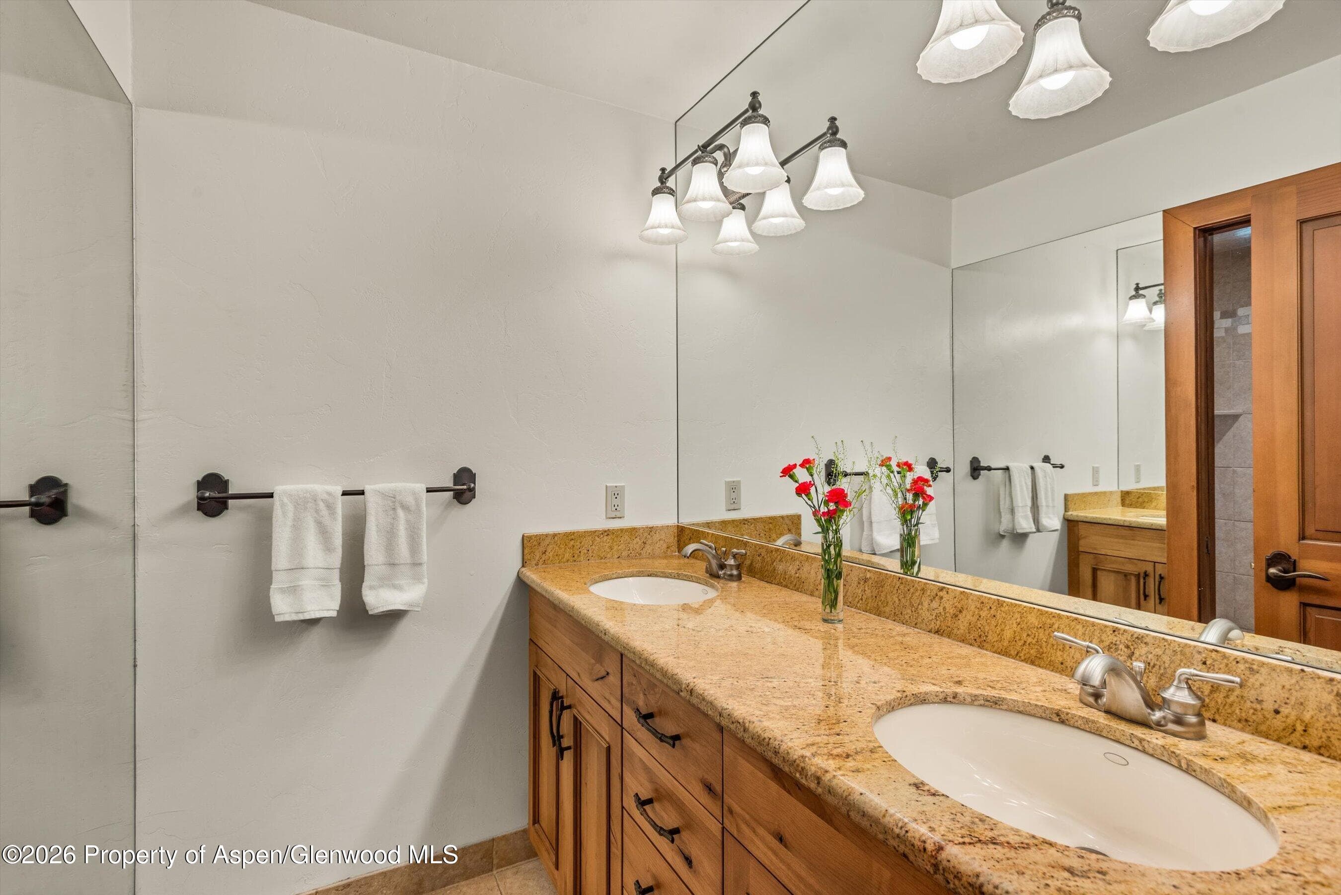 467 Snowmass Club Circle 23, Snowmass Village, CO 81615 - Photo 22