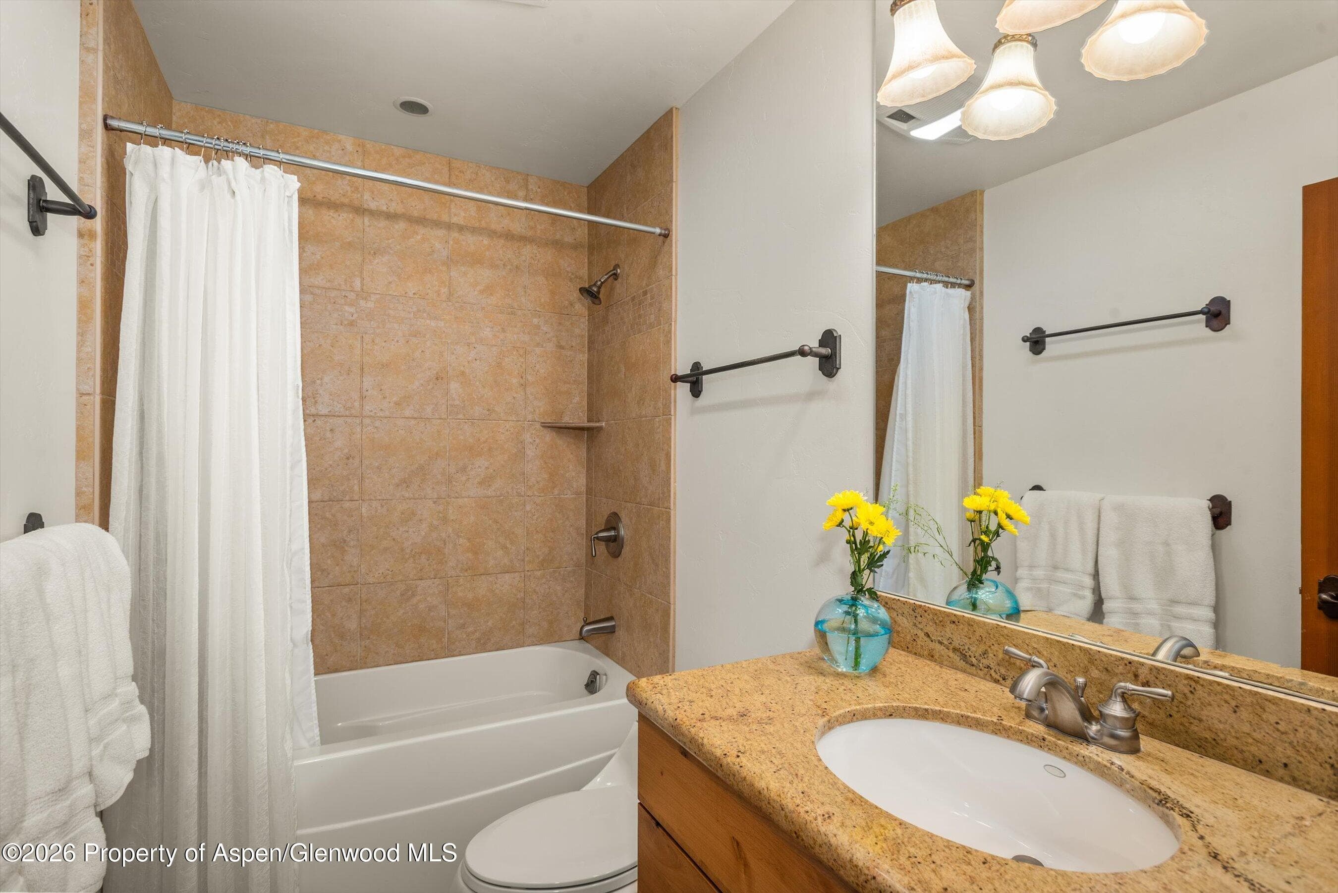 467 Snowmass Club Circle 23, Snowmass Village, CO 81615 - Photo 25