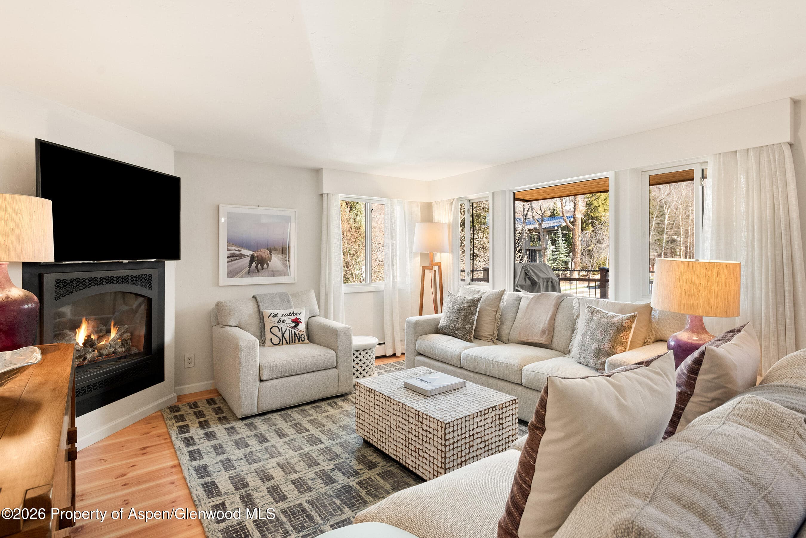 835 E Hyman Avenue E, Aspen, CO 81611 - Photo 2