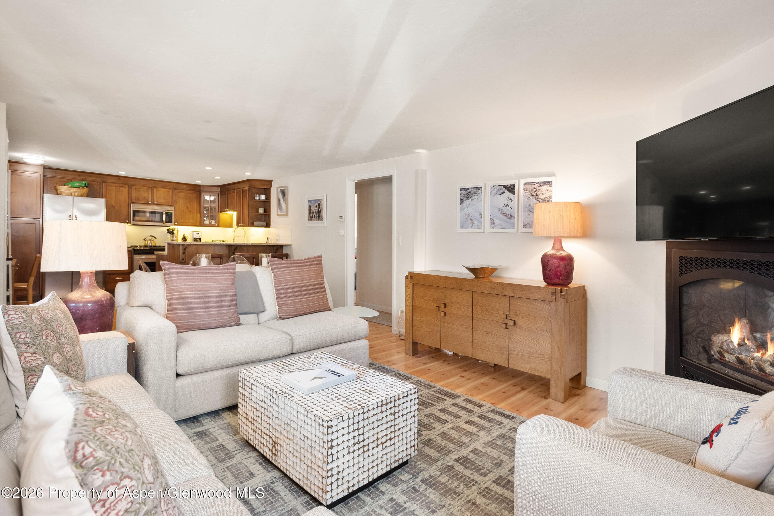 835 E Hyman Avenue E, Aspen, CO 81611 - Photo 3