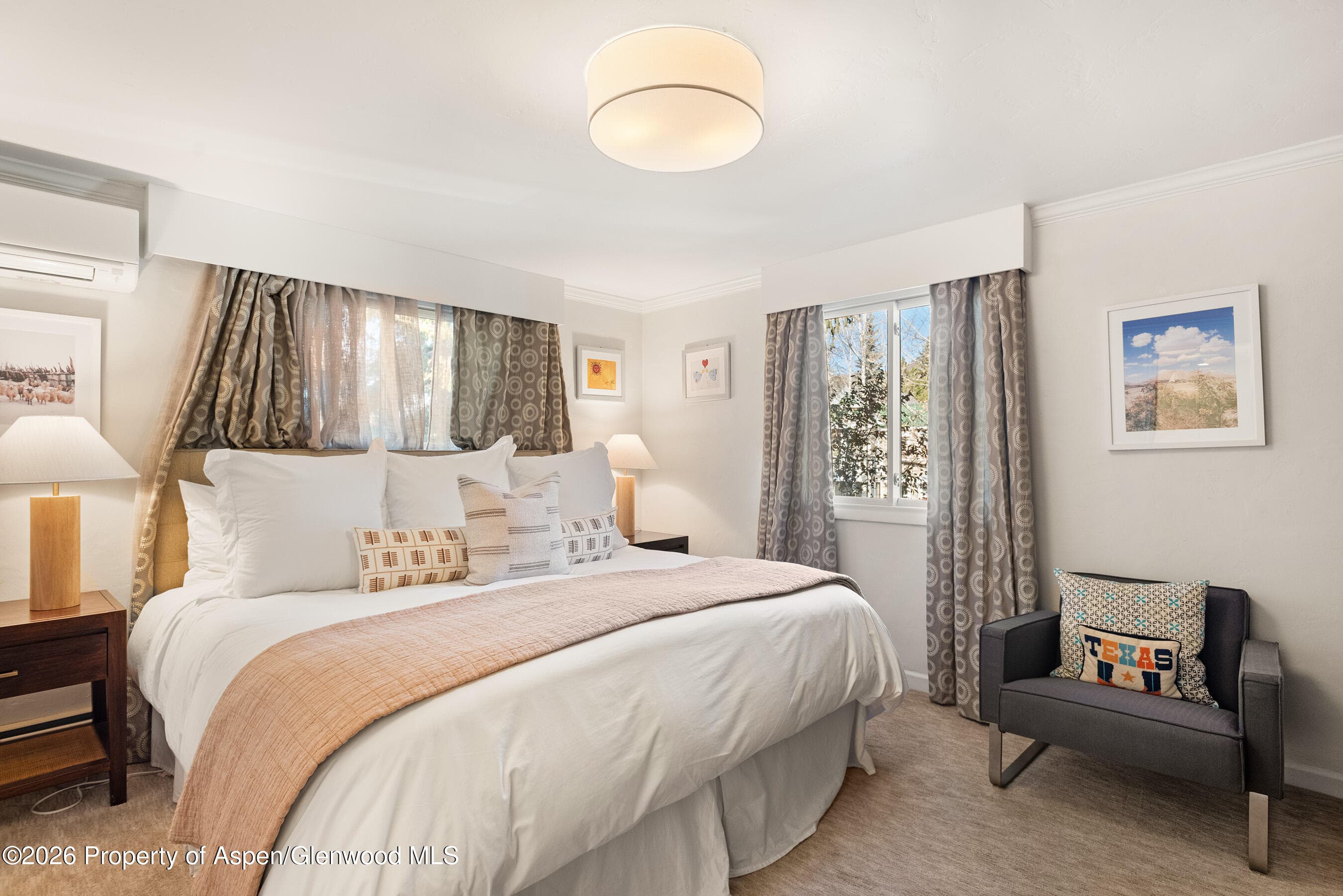 835 E Hyman Avenue E, Aspen, CO 81611 - Photo 7