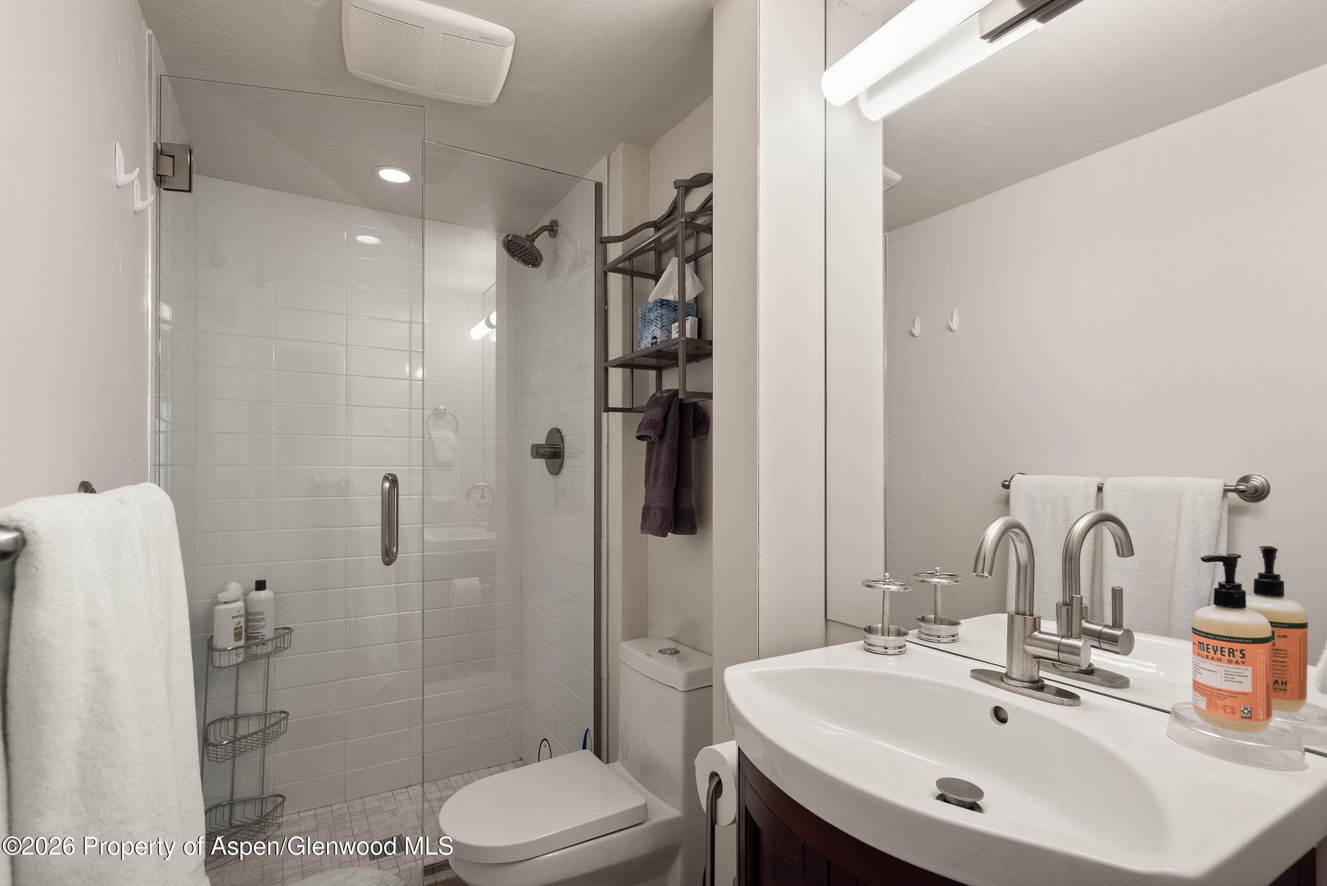 835 E Hyman Avenue E, Aspen, CO 81611 - Photo 8