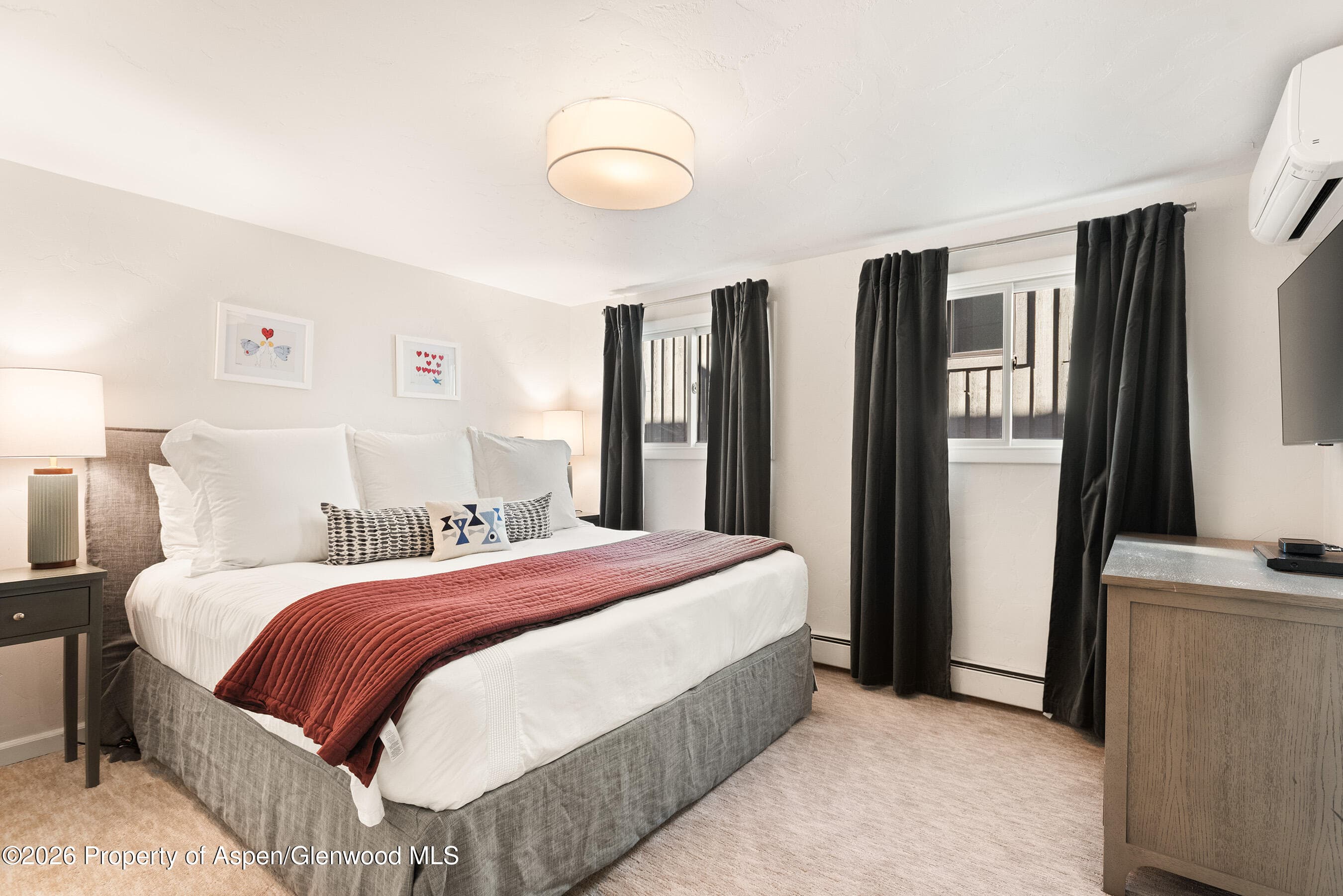 835 E Hyman Avenue E, Aspen, CO 81611 - Photo 9
