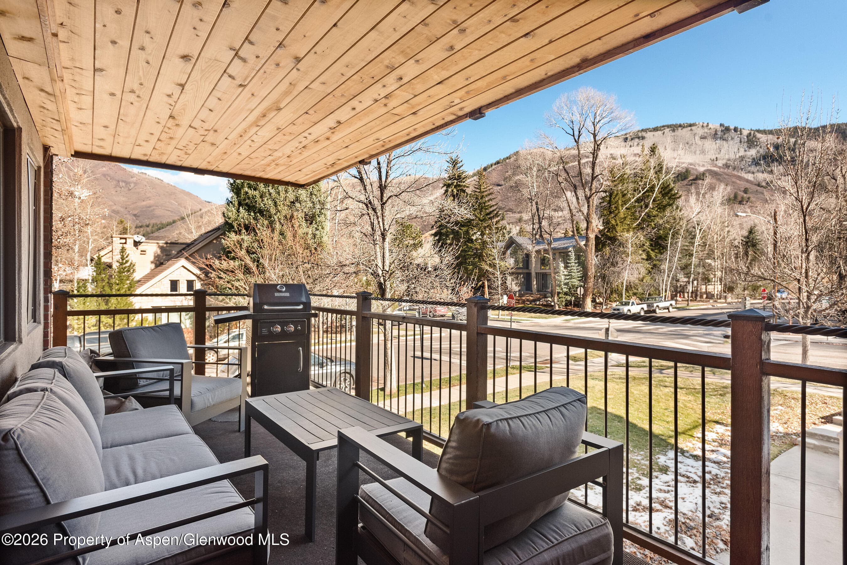 835 E Hyman Avenue E, Aspen, CO 81611 - Photo 11