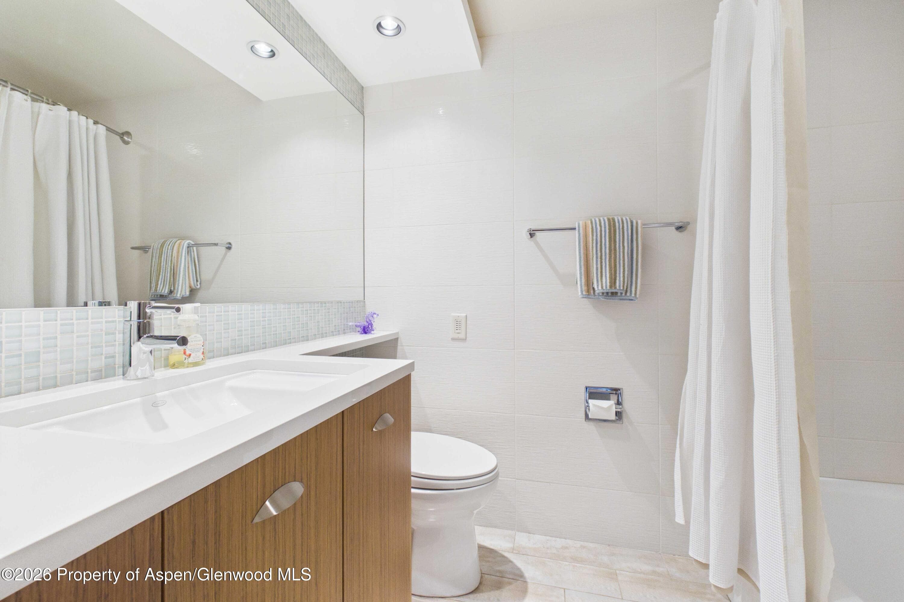400 W Hopkins Avenue 6/7, Aspen, CO 81611 - Photo 13
