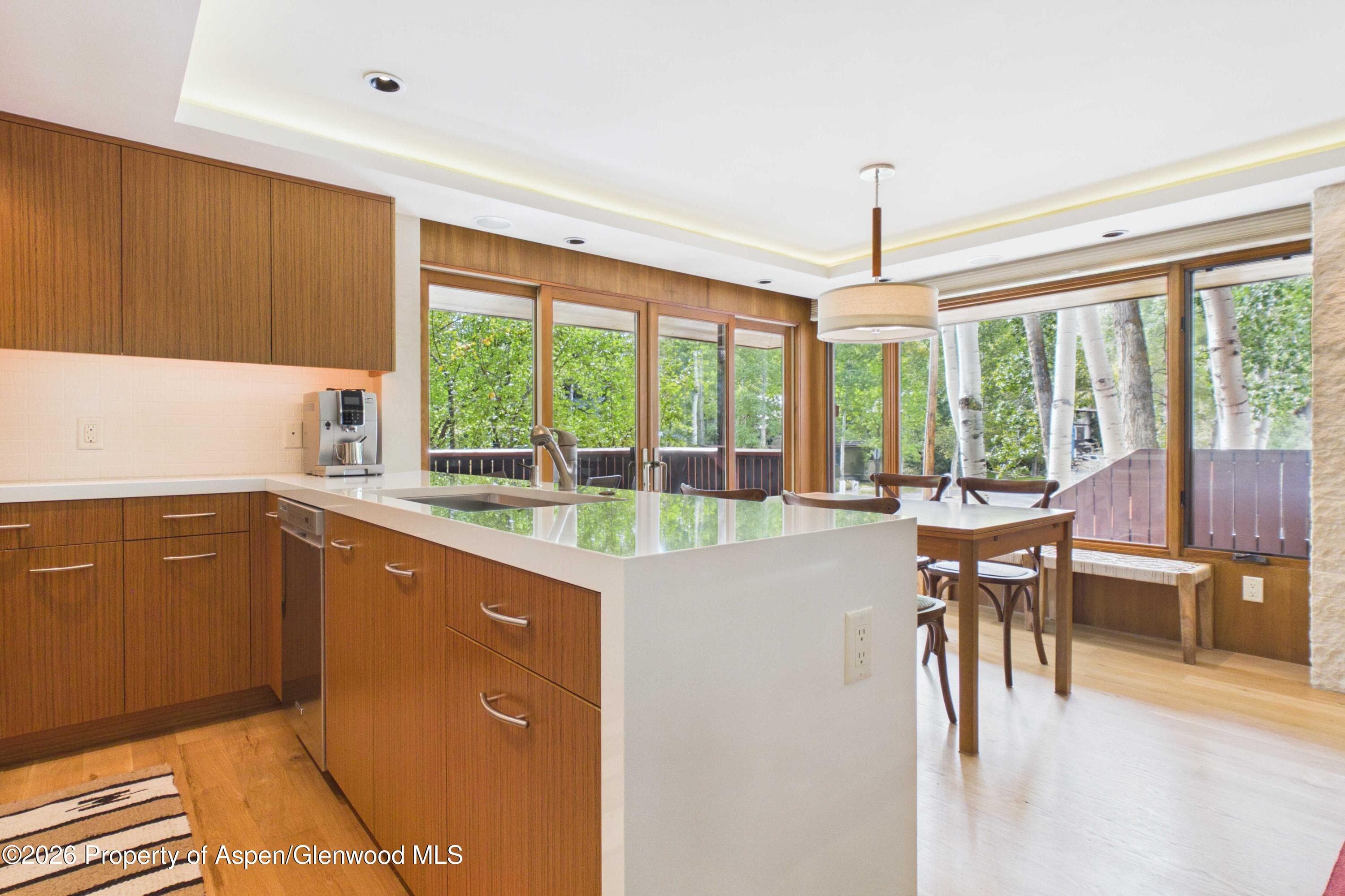 400 W Hopkins Avenue 6/7, Aspen, CO 81611 - Photo 3