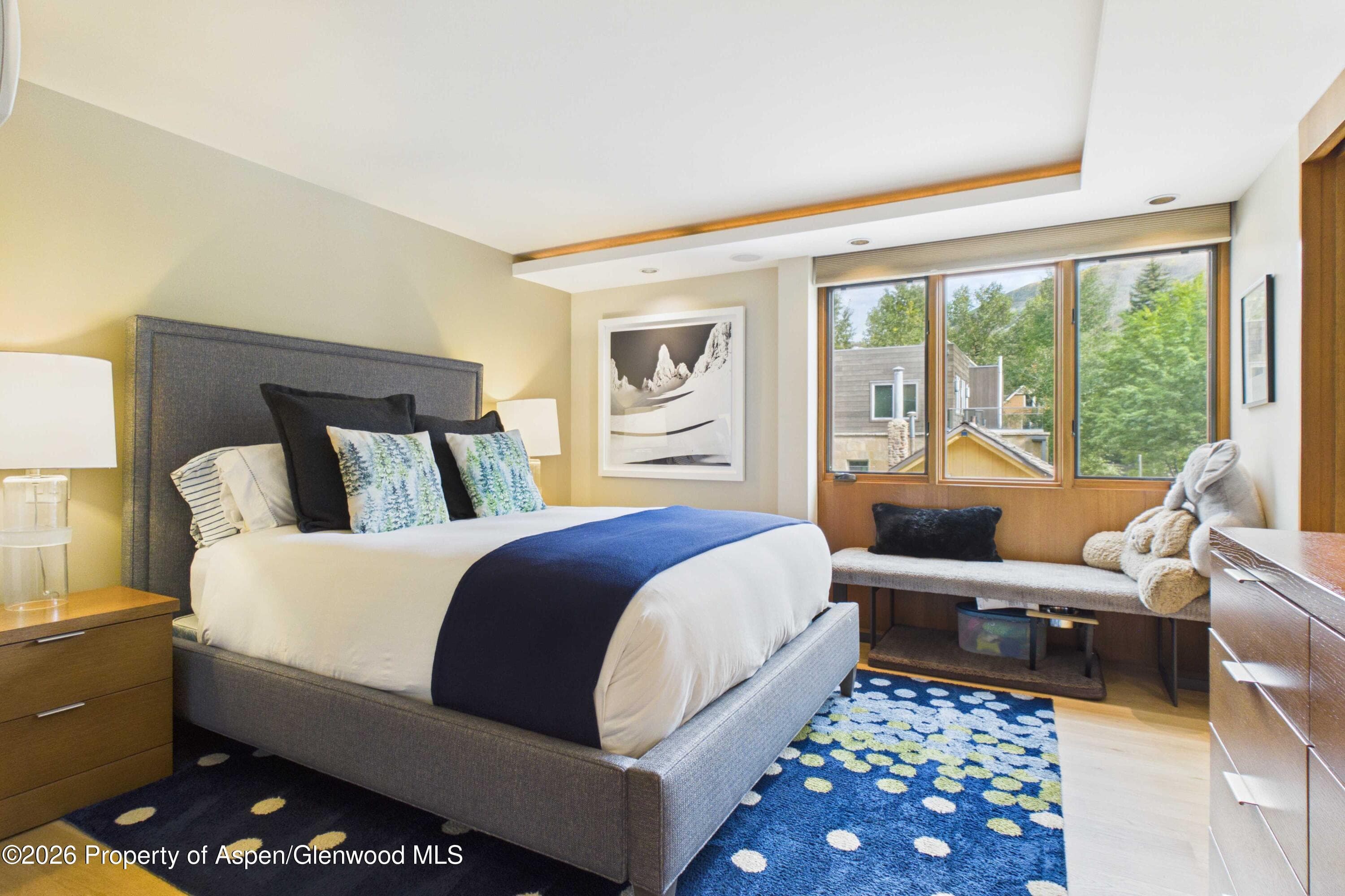 400 W Hopkins Avenue 6/7, Aspen, CO 81611 - Photo 8