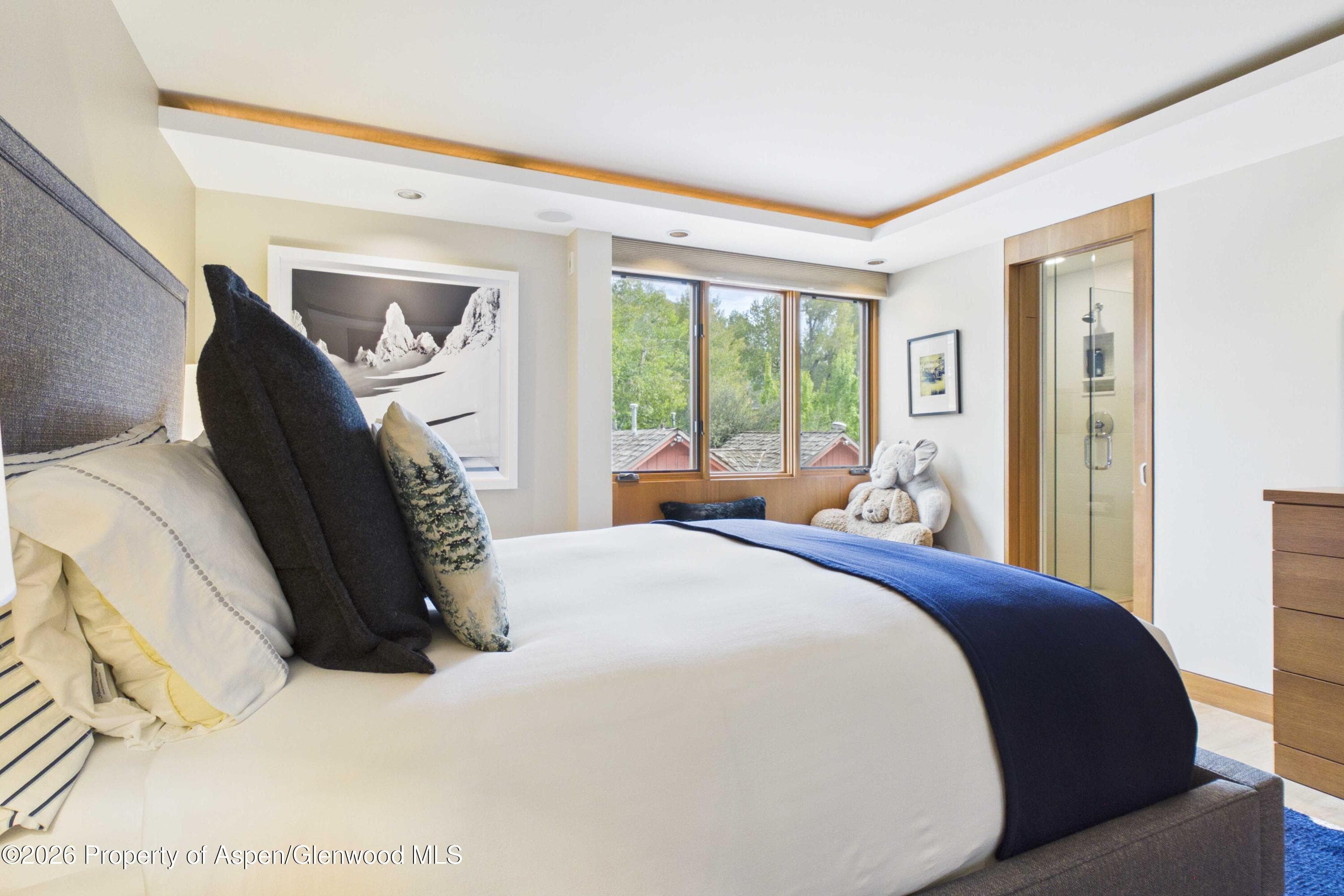 400 W Hopkins Avenue 6/7, Aspen, CO 81611 - Photo 9