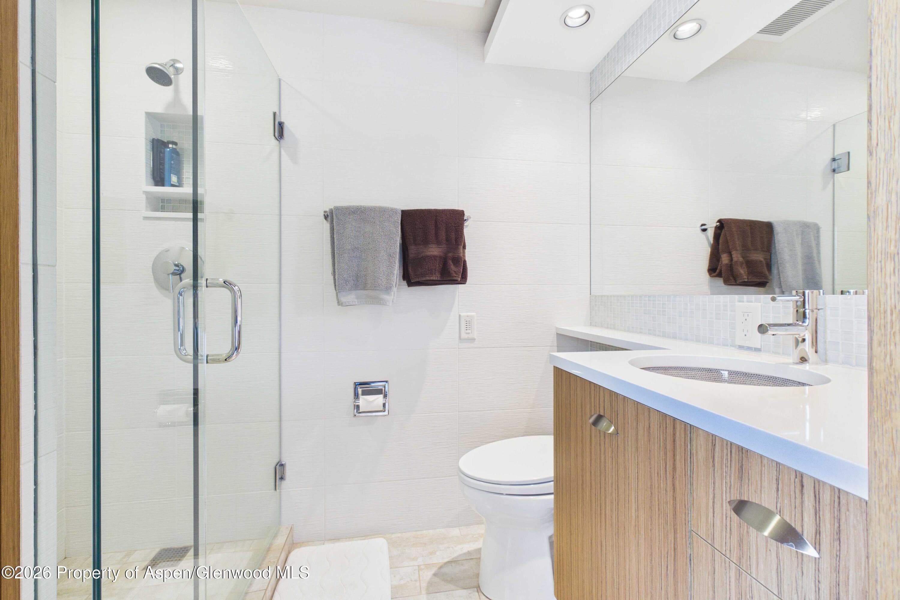 400 W Hopkins Avenue 6/7, Aspen, CO 81611 - Photo 10
