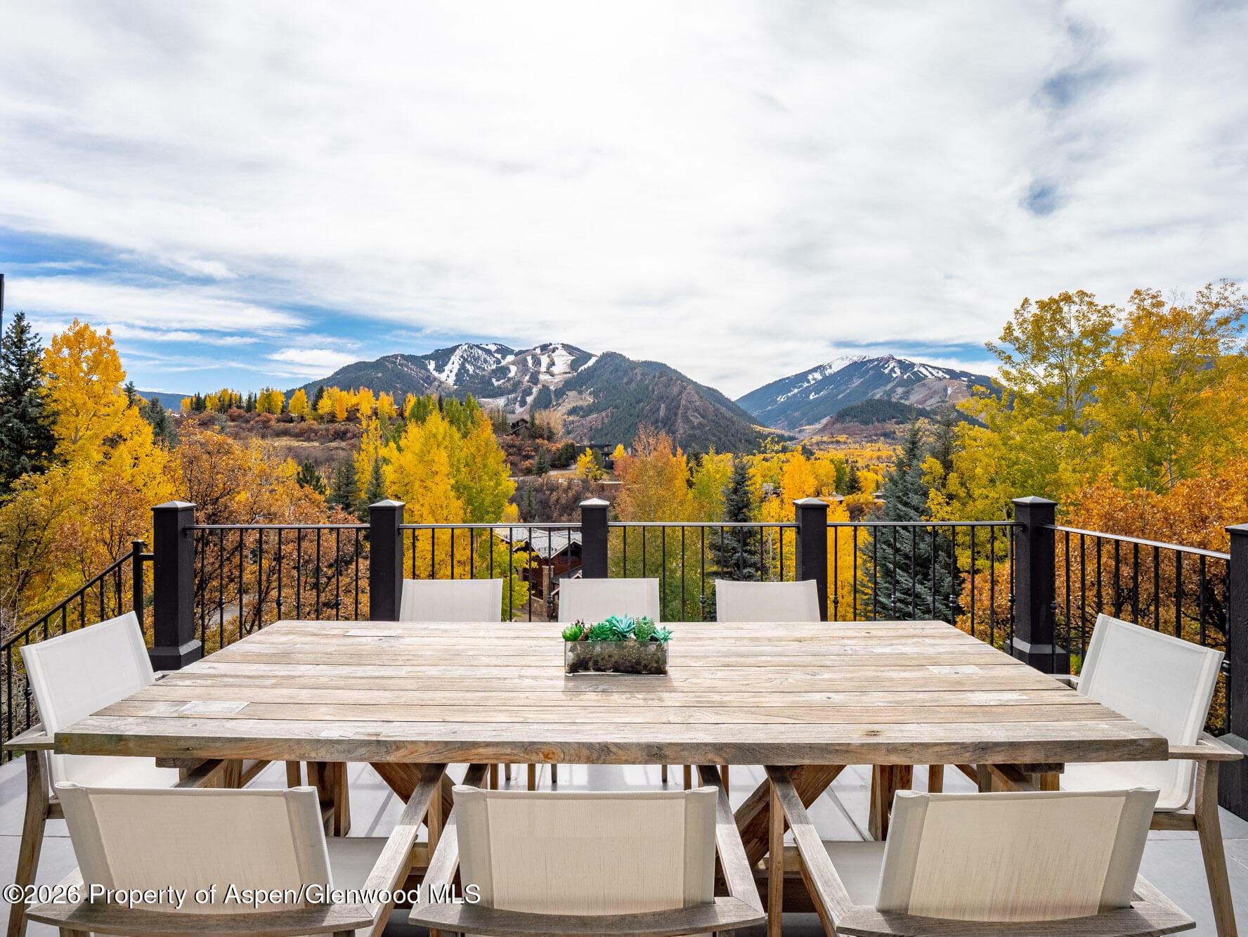 349 Draw Drive, Aspen, CO 81611 - Photo 19
