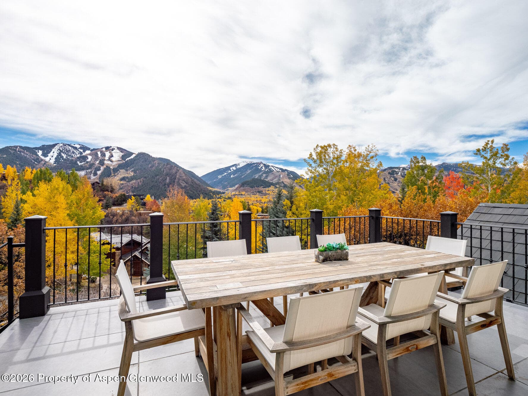 349 Draw Drive, Aspen, CO 81611 - Photo 20