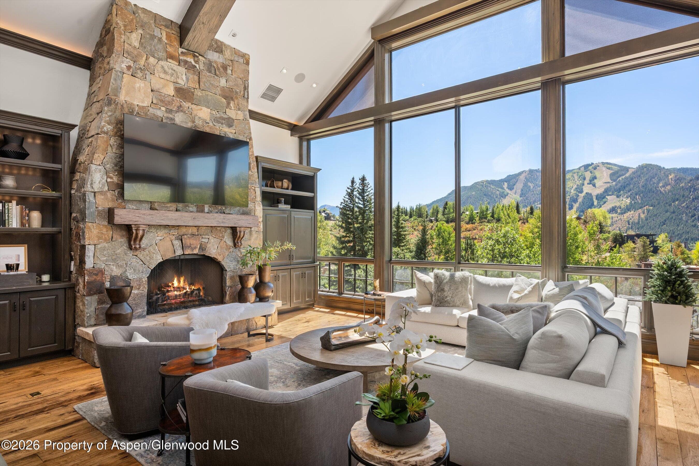 349 Draw Drive, Aspen, CO 81611 - Photo 7
