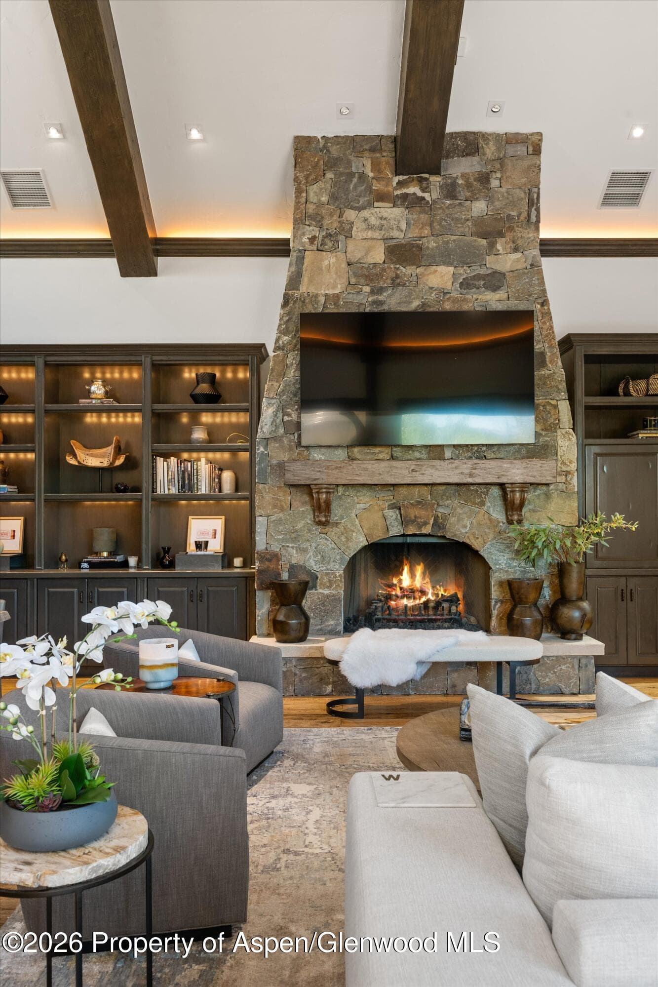 349 Draw Drive, Aspen, CO 81611 - Photo 9