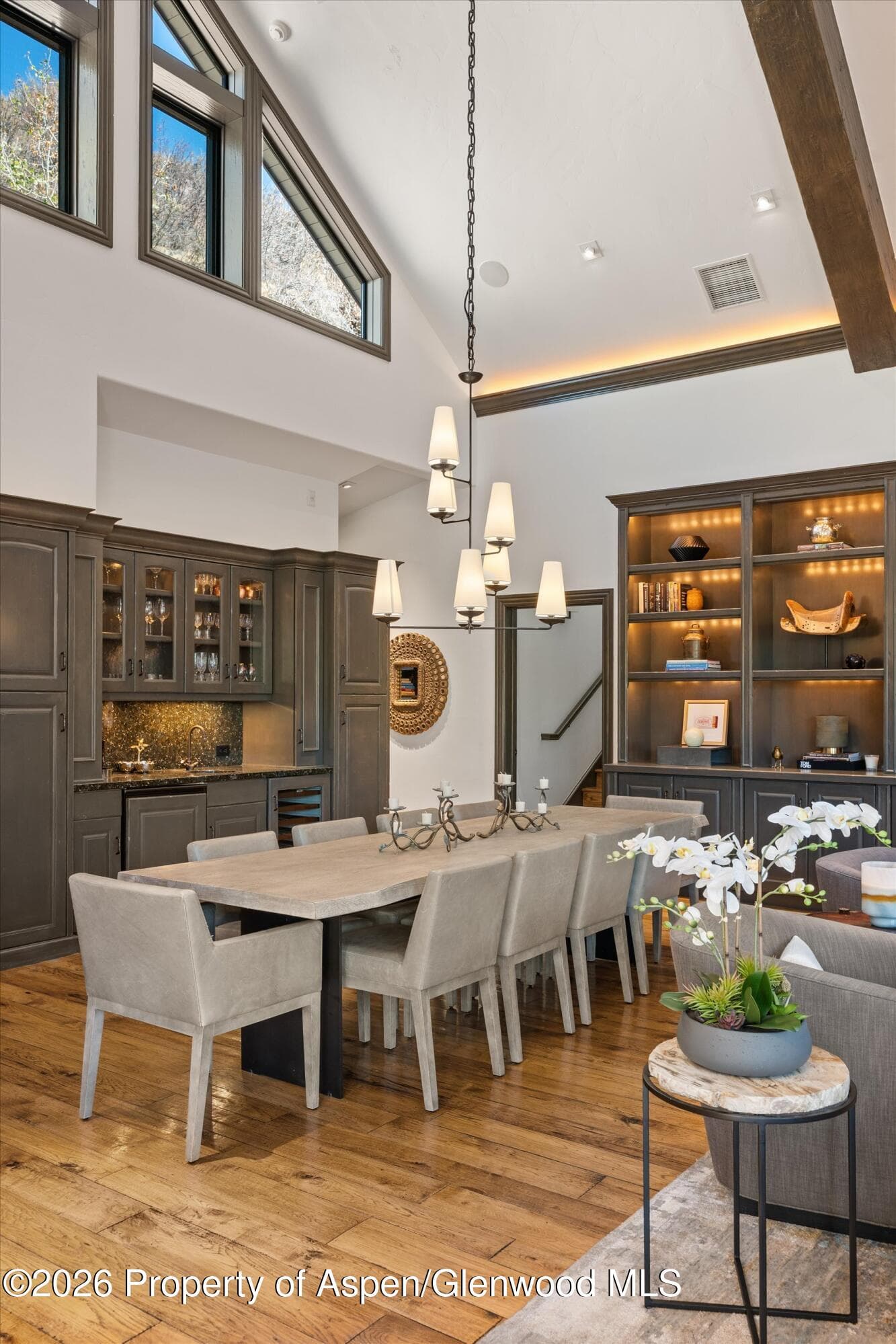 349 Draw Drive, Aspen, CO 81611 - Photo 10