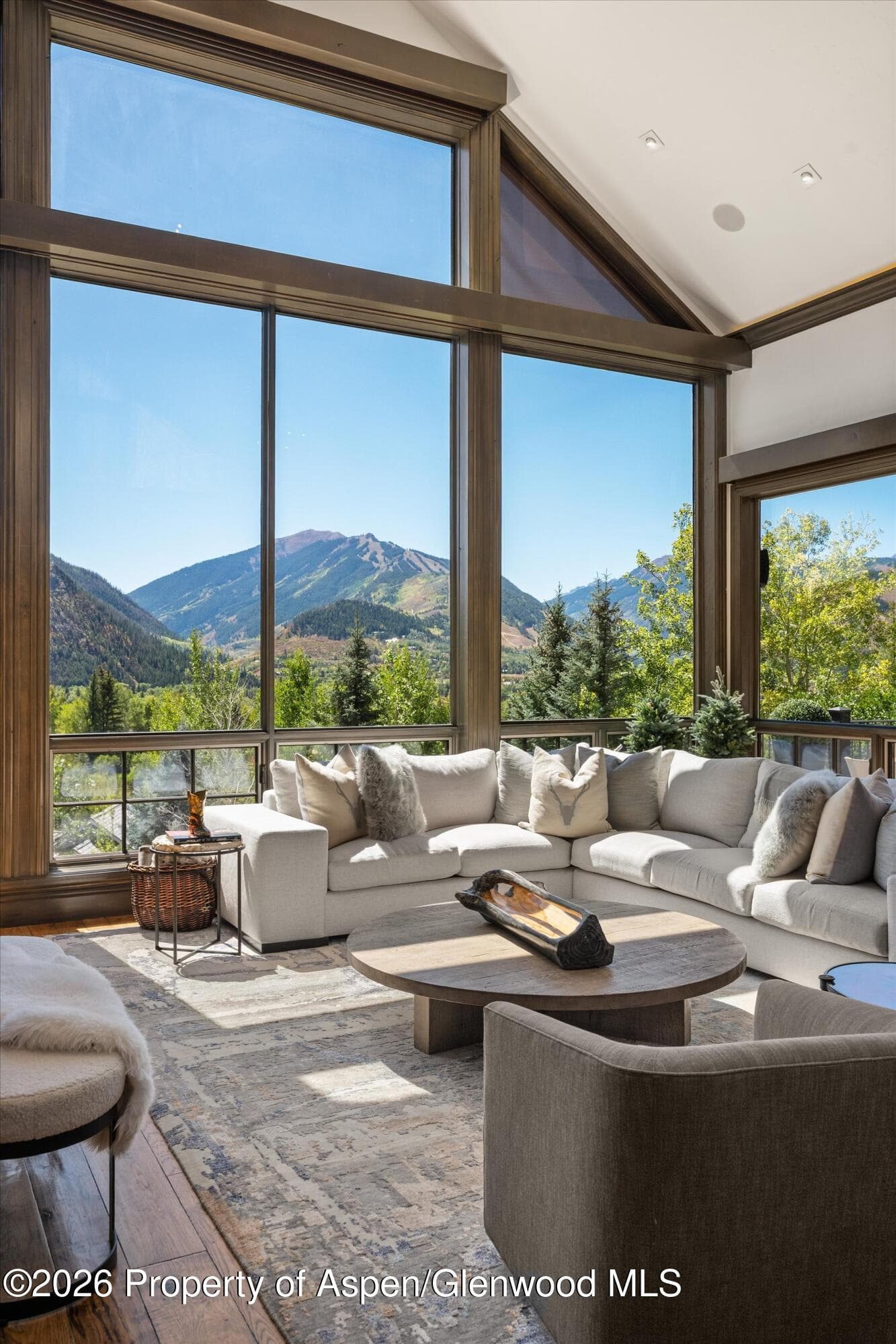 349 Draw Drive, Aspen, CO 81611 - Photo 13