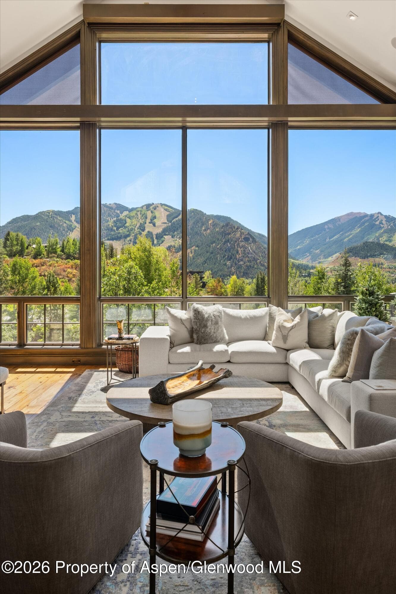349 Draw Drive, Aspen, CO 81611 - Photo 14