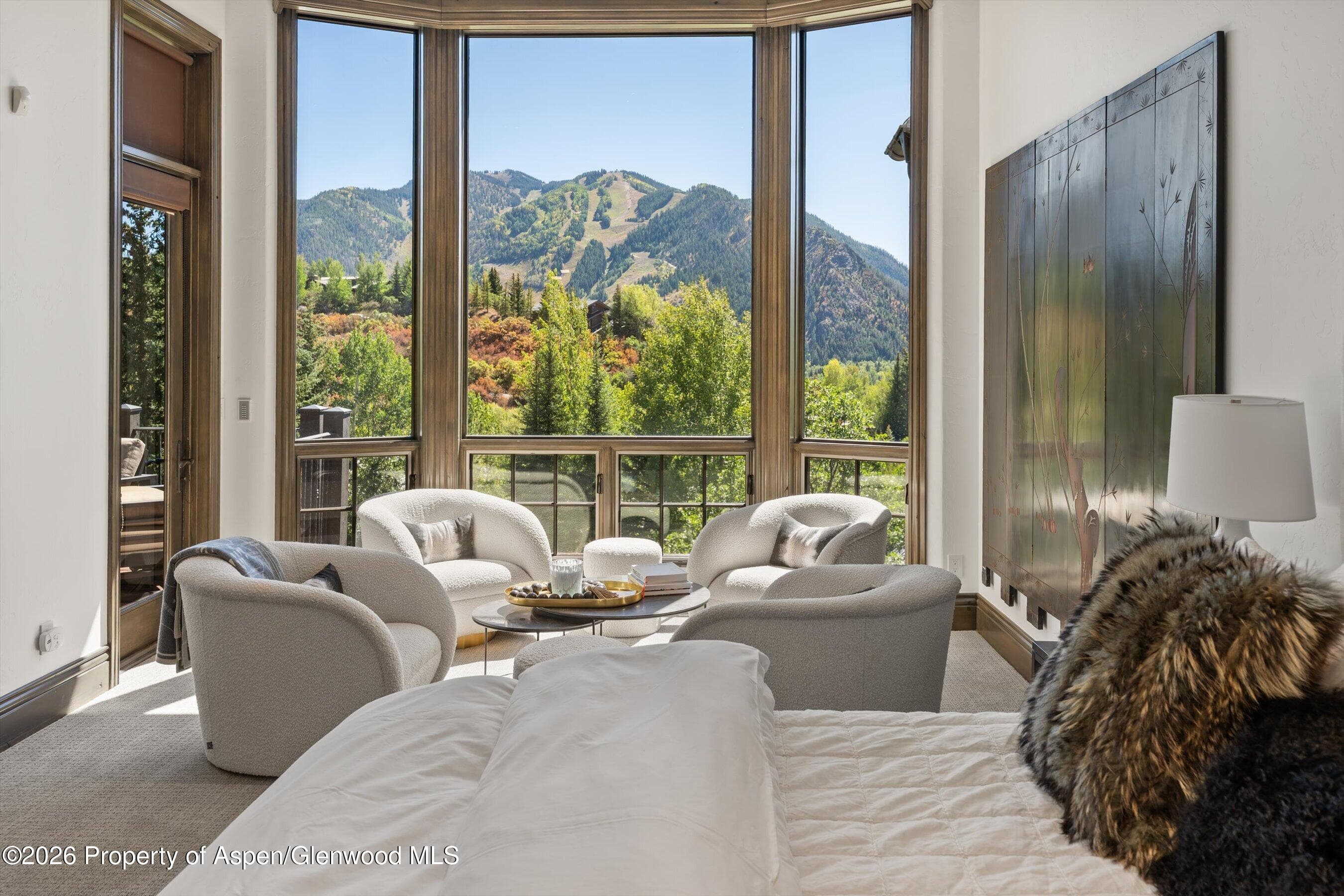 349 Draw Drive, Aspen, CO 81611 - Photo 23