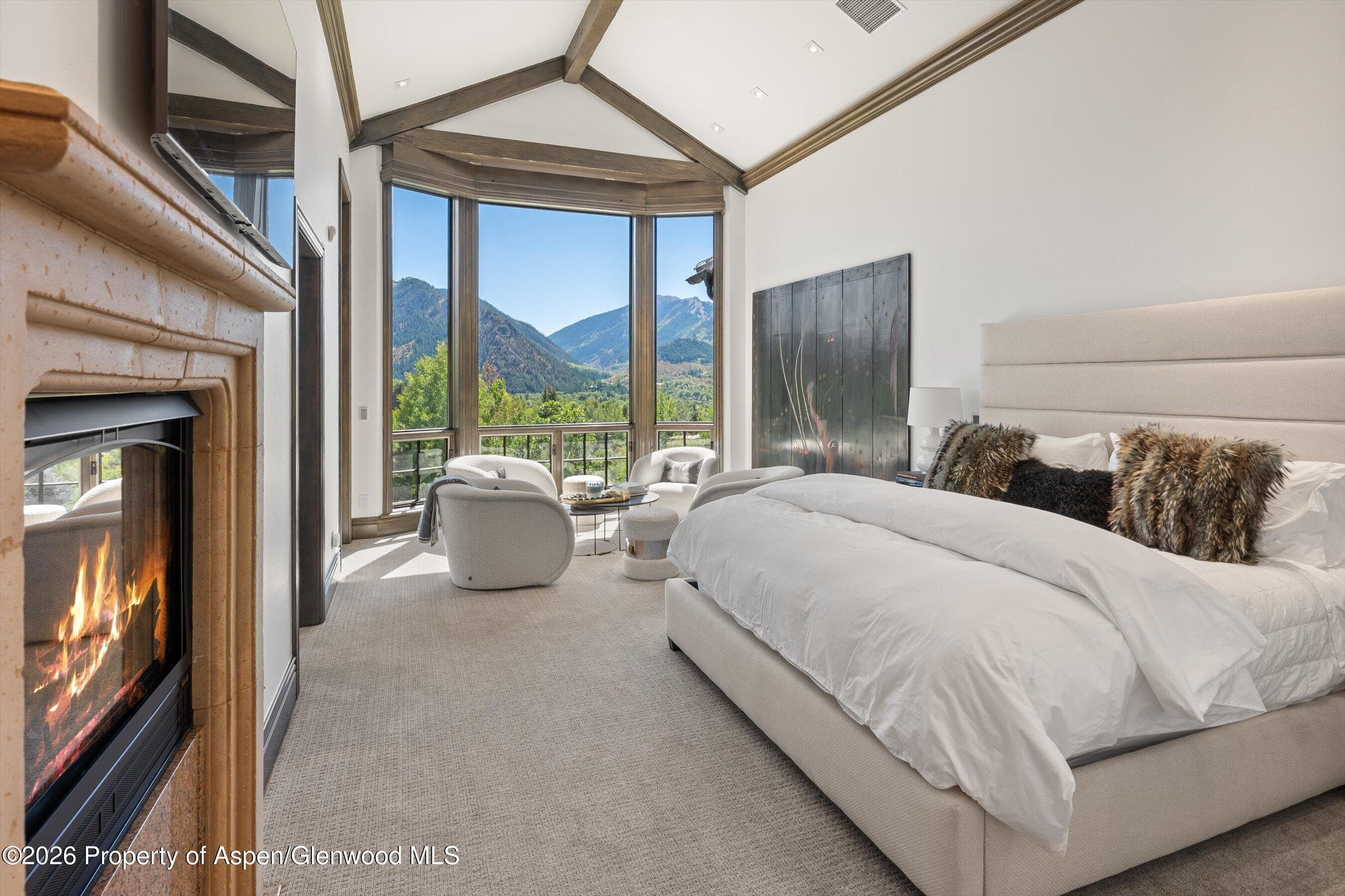 349 Draw Drive, Aspen, CO 81611 - Photo 22